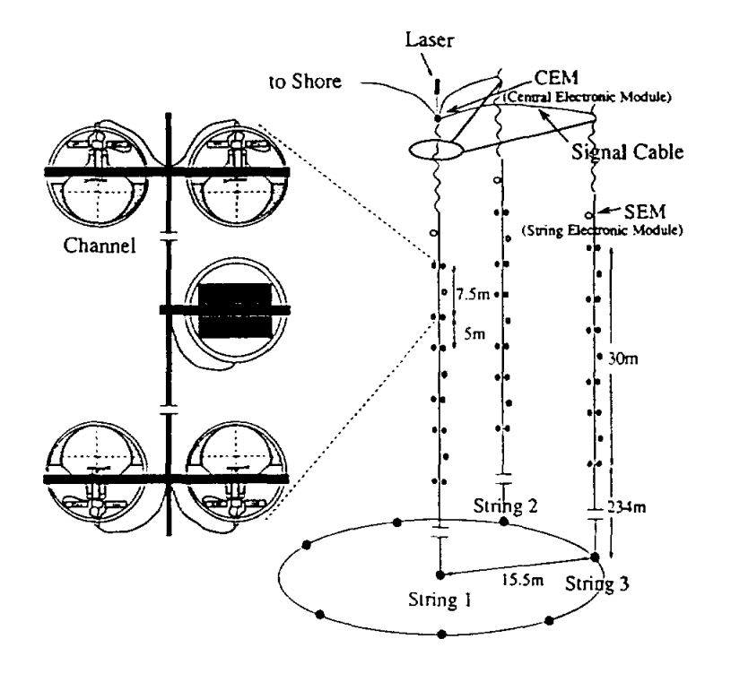 Schematic of the Lake Baikal neutrino telescope.