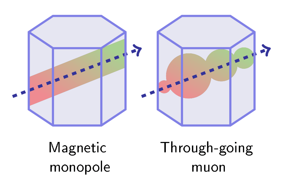 IceCube and the mystery of the missing magnetic monopoles