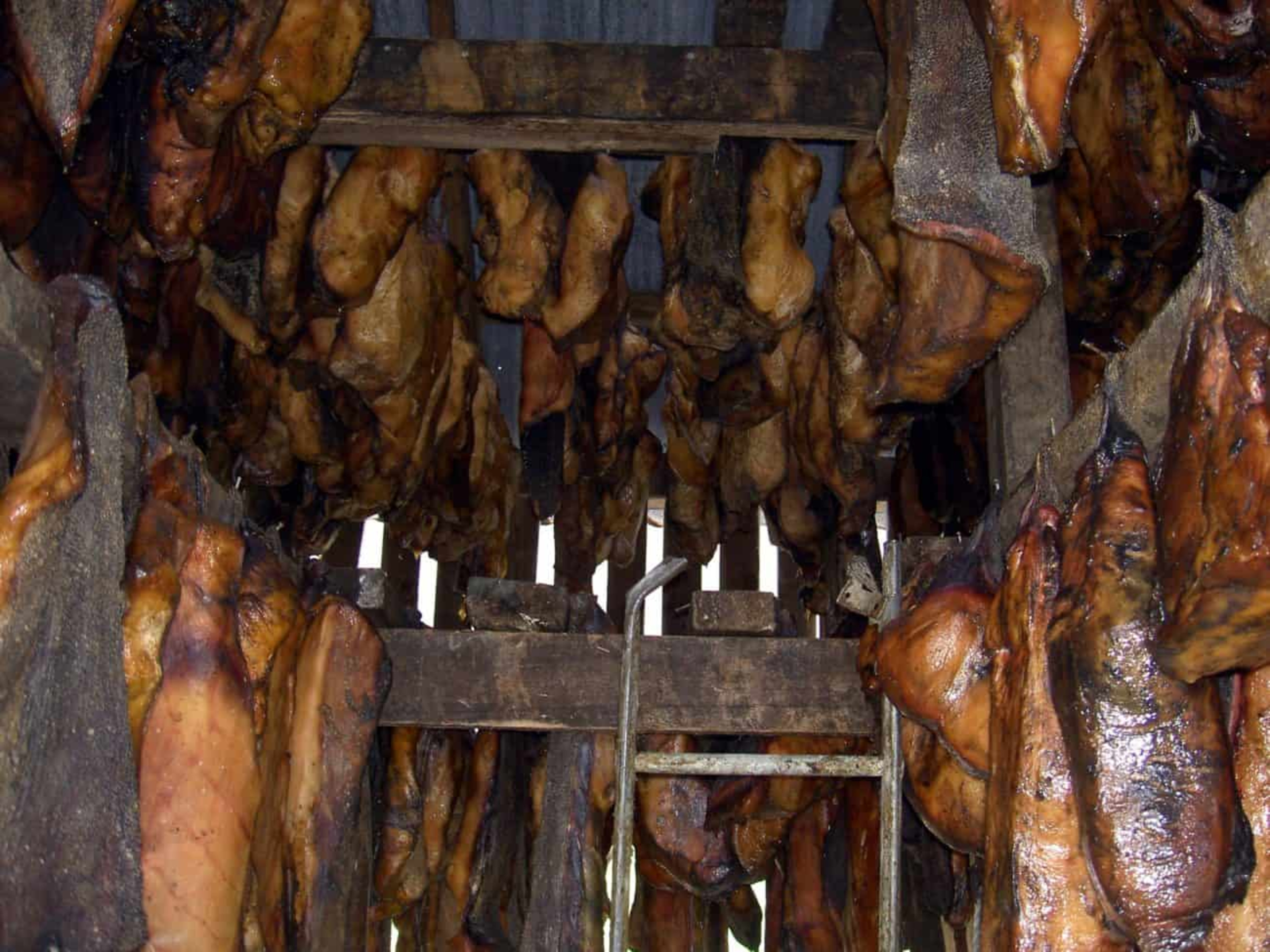 Hanging shark pieces in the open-air barn