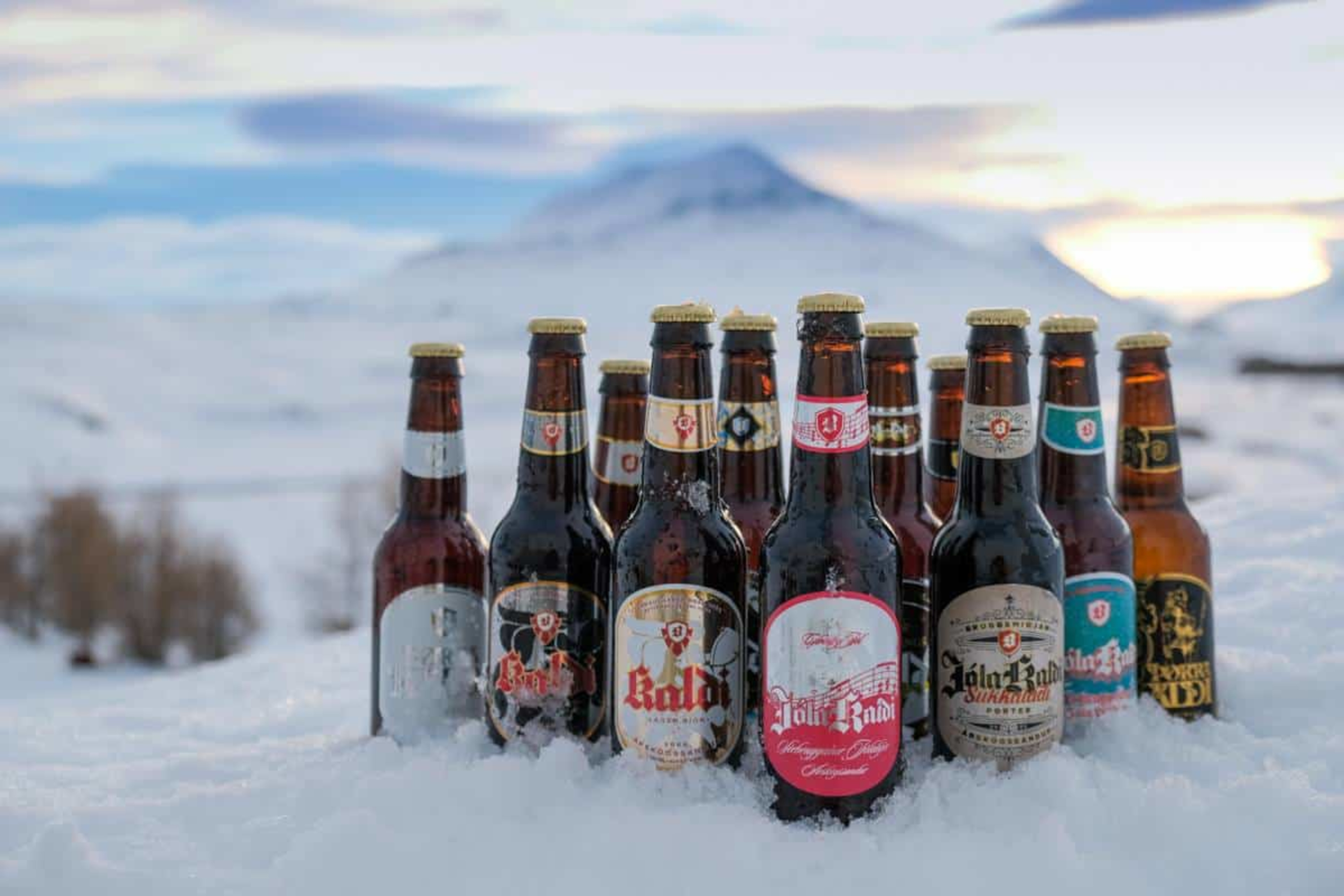 Bottles of Icelandic beer in snow