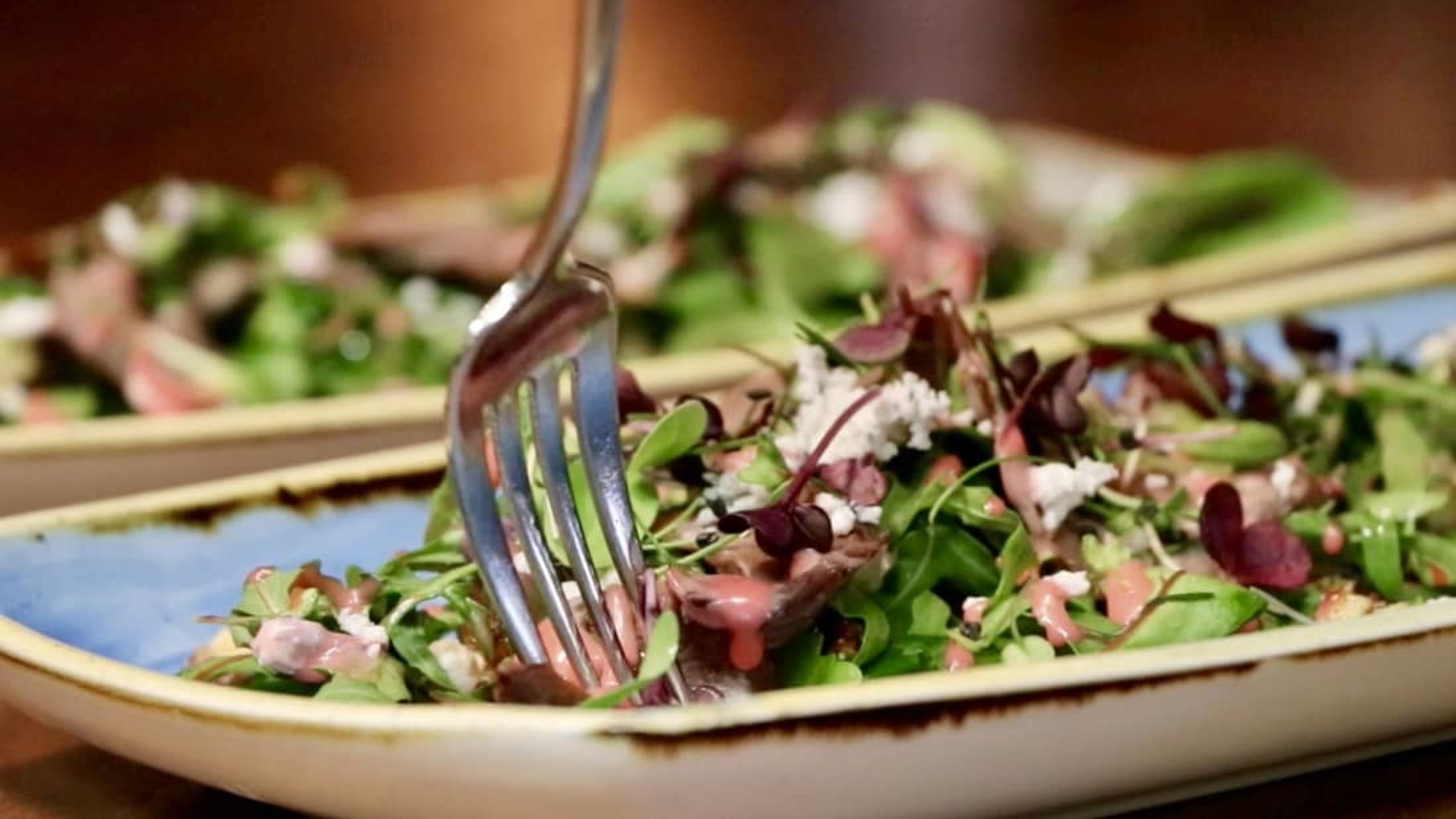 Close up of salad plate and fork