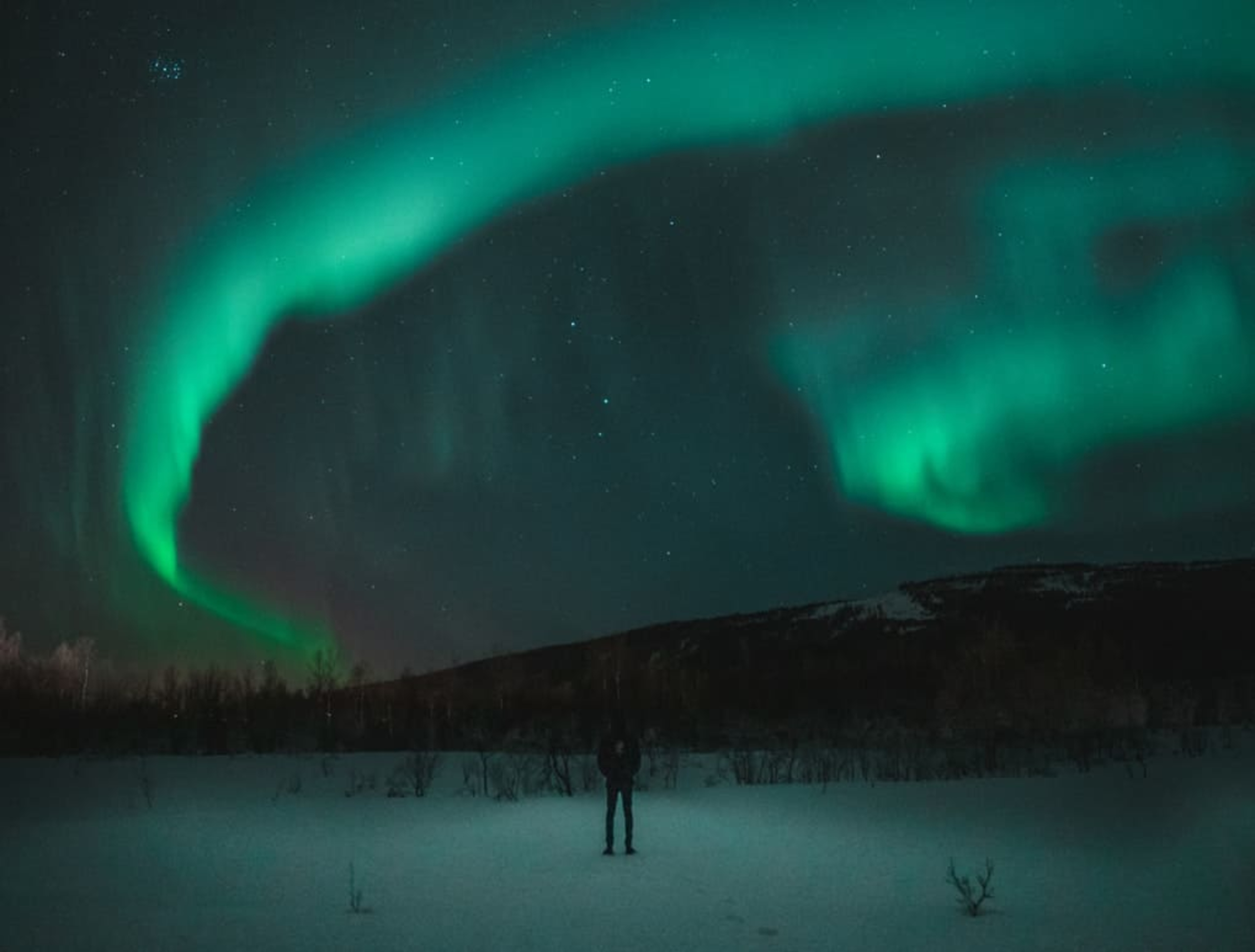 A boy staring at northern lights