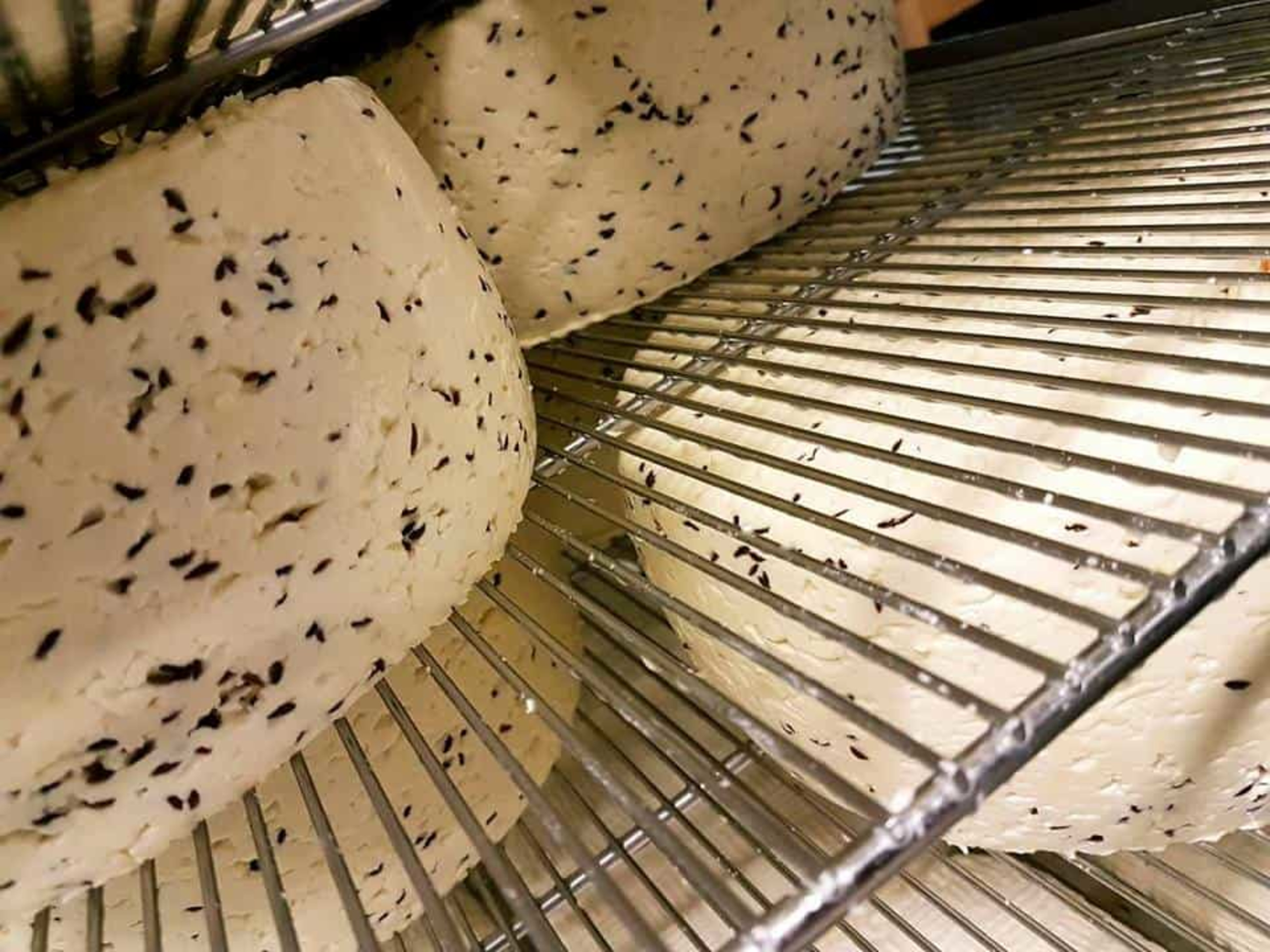 cheese-erpsstadir-1.jpg