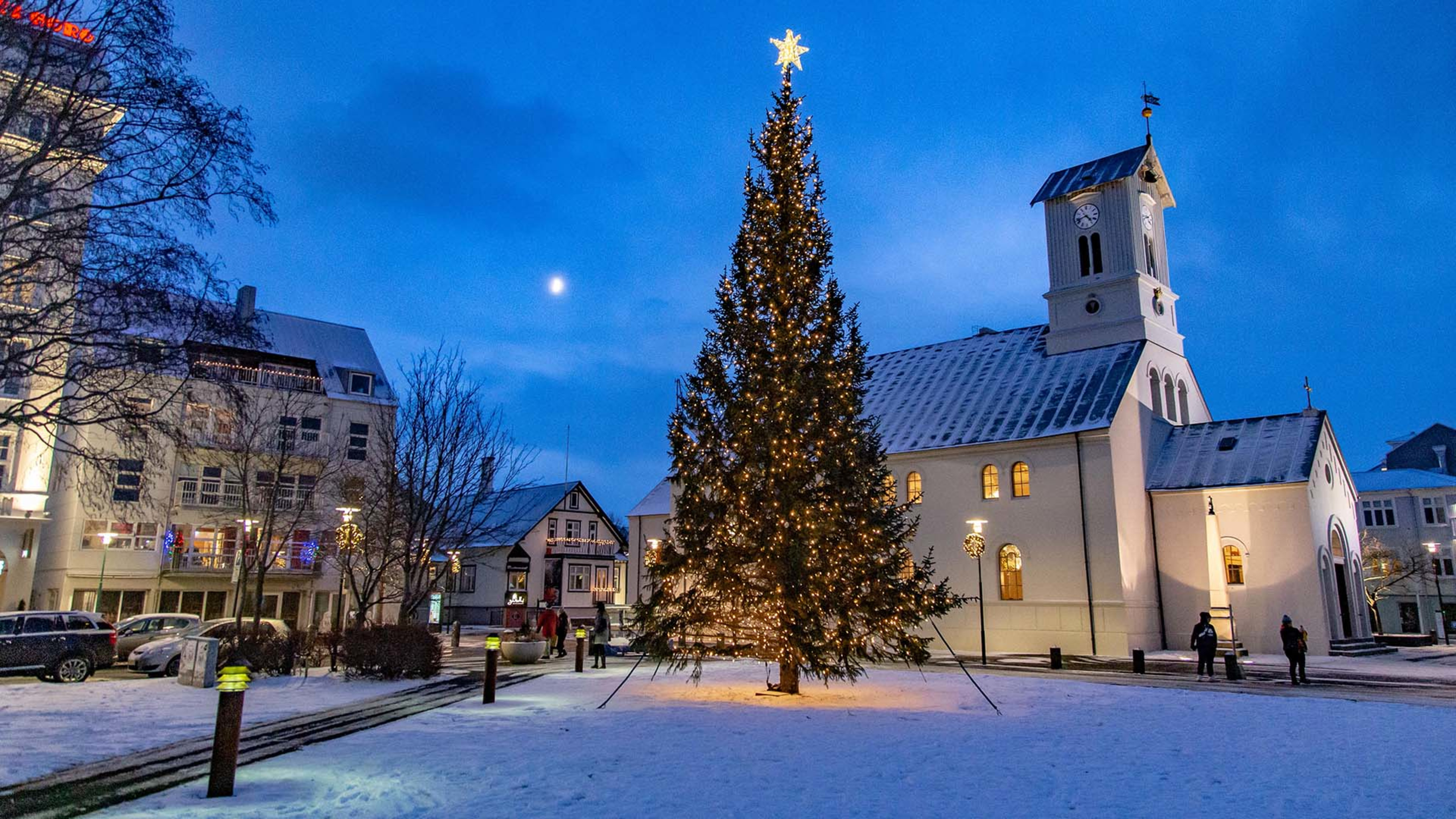 A Christmas tree in Austurvöllur square in Reykjavík