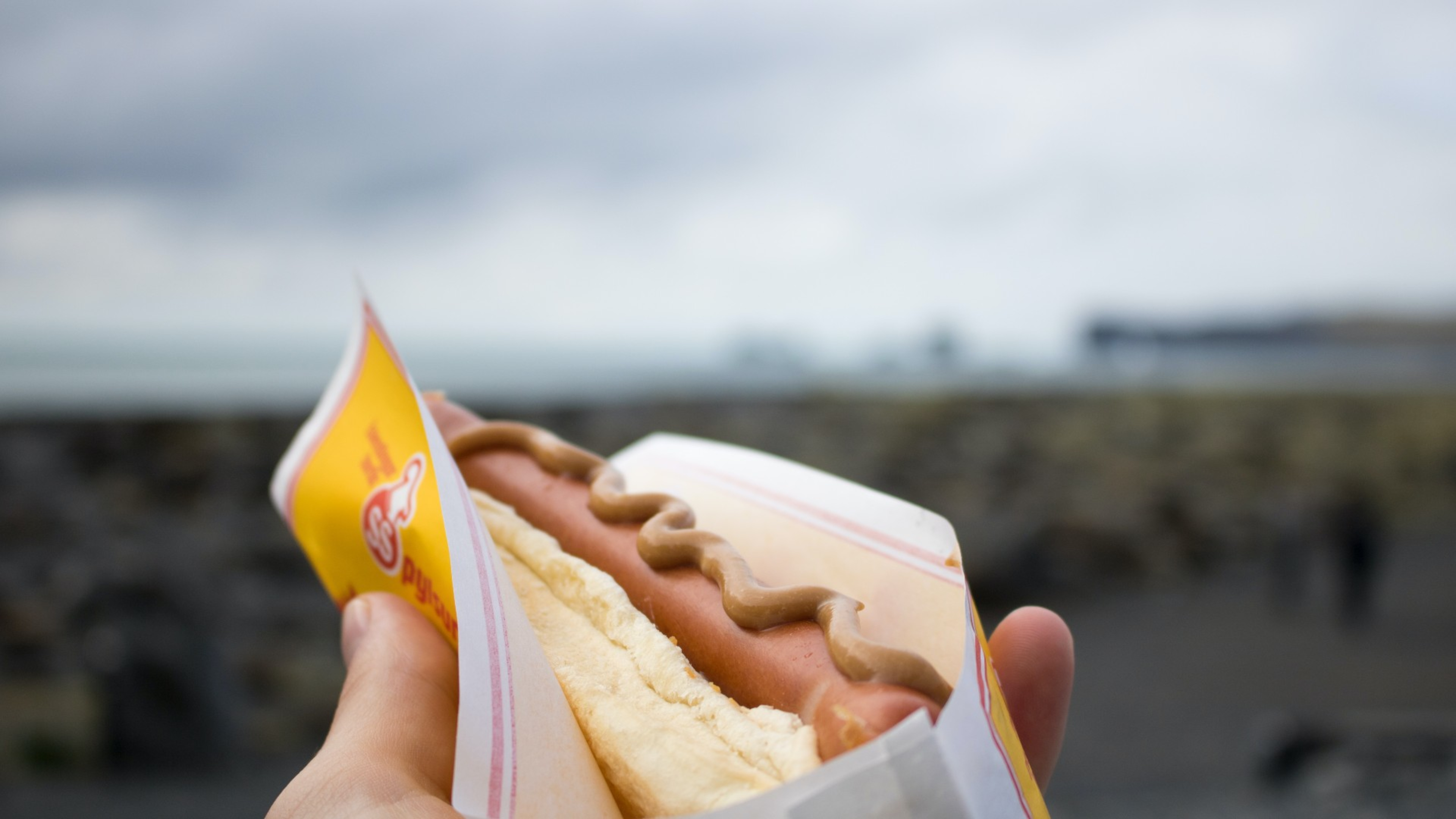Hand holding a hot dog at Reynisfjara beach