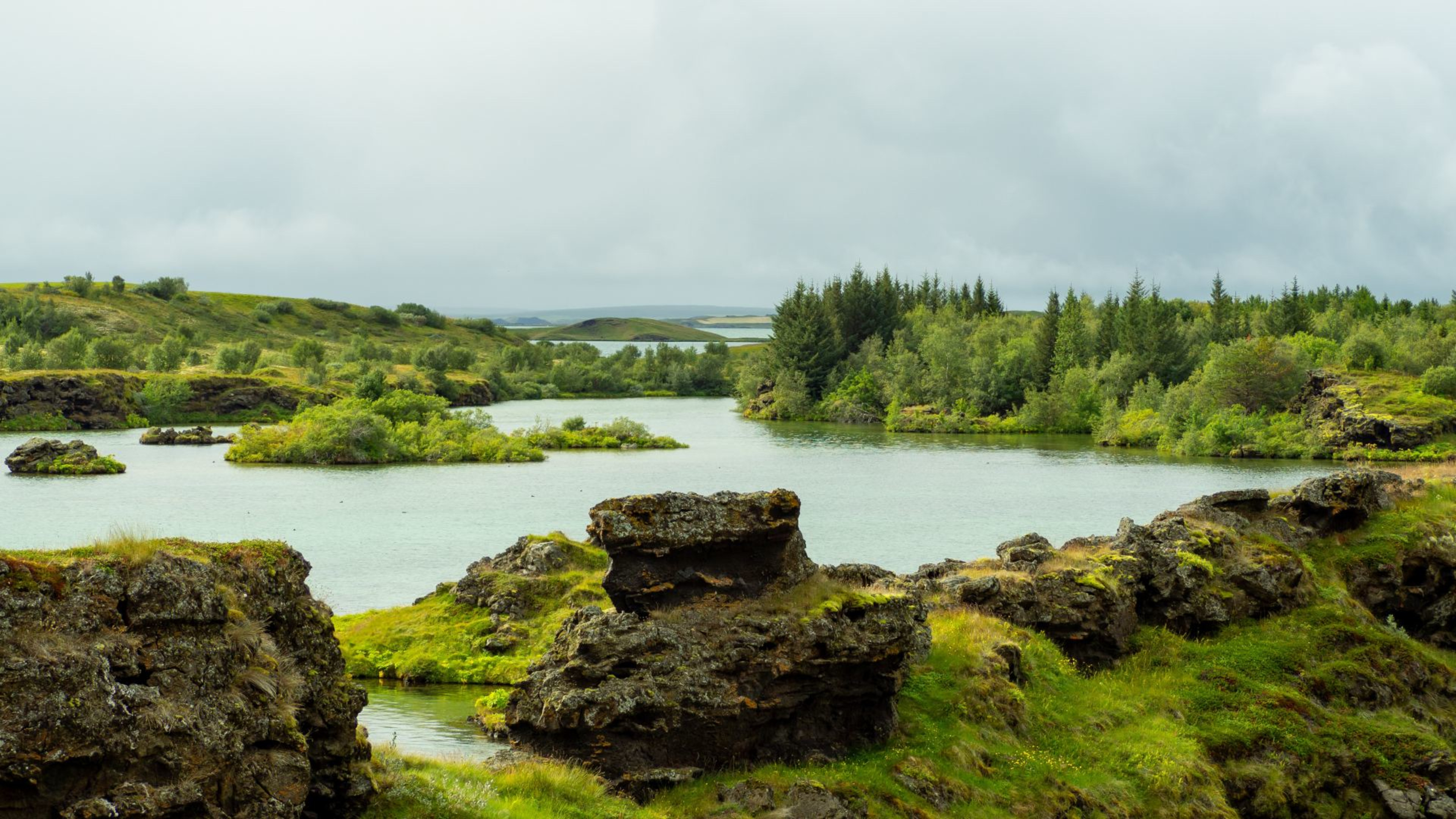 Lush trees and lava formations next to Lake Mývatn