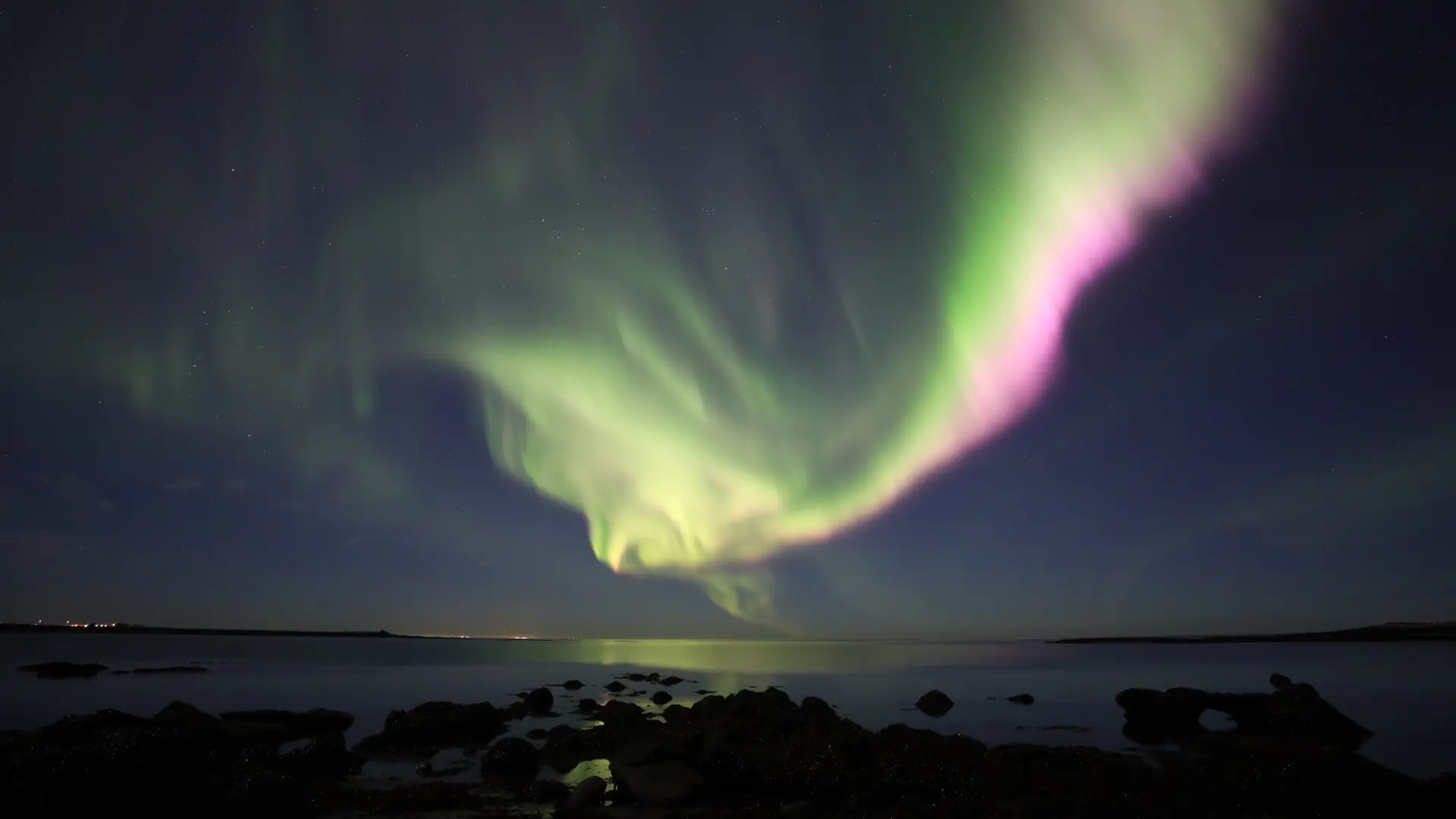 Yellow and purple Northern Lights illuminating the sea near Seltjarnarnes in Reykjavik