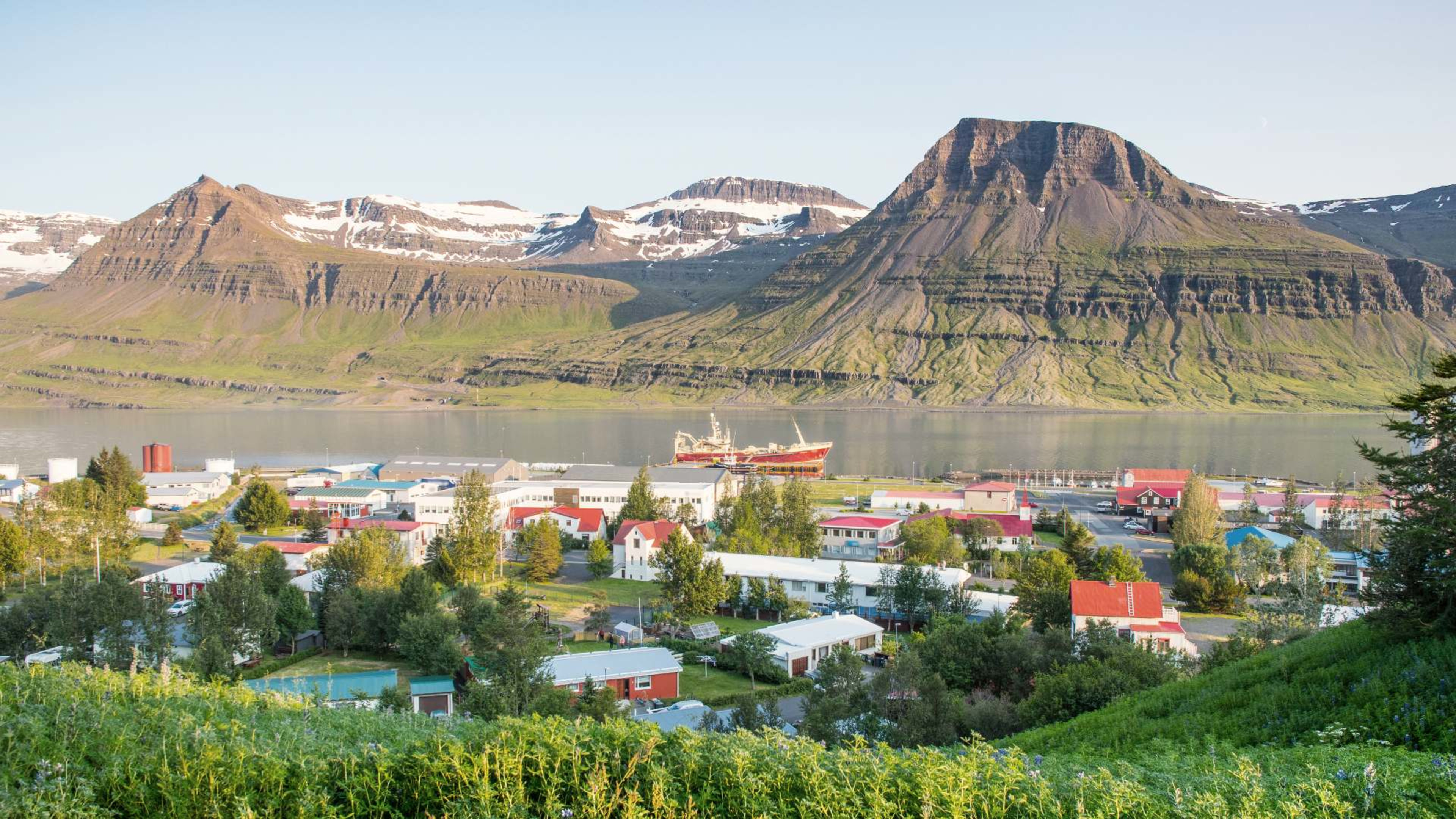 The town of Reyðarfjörður, East Iceland, seen from above