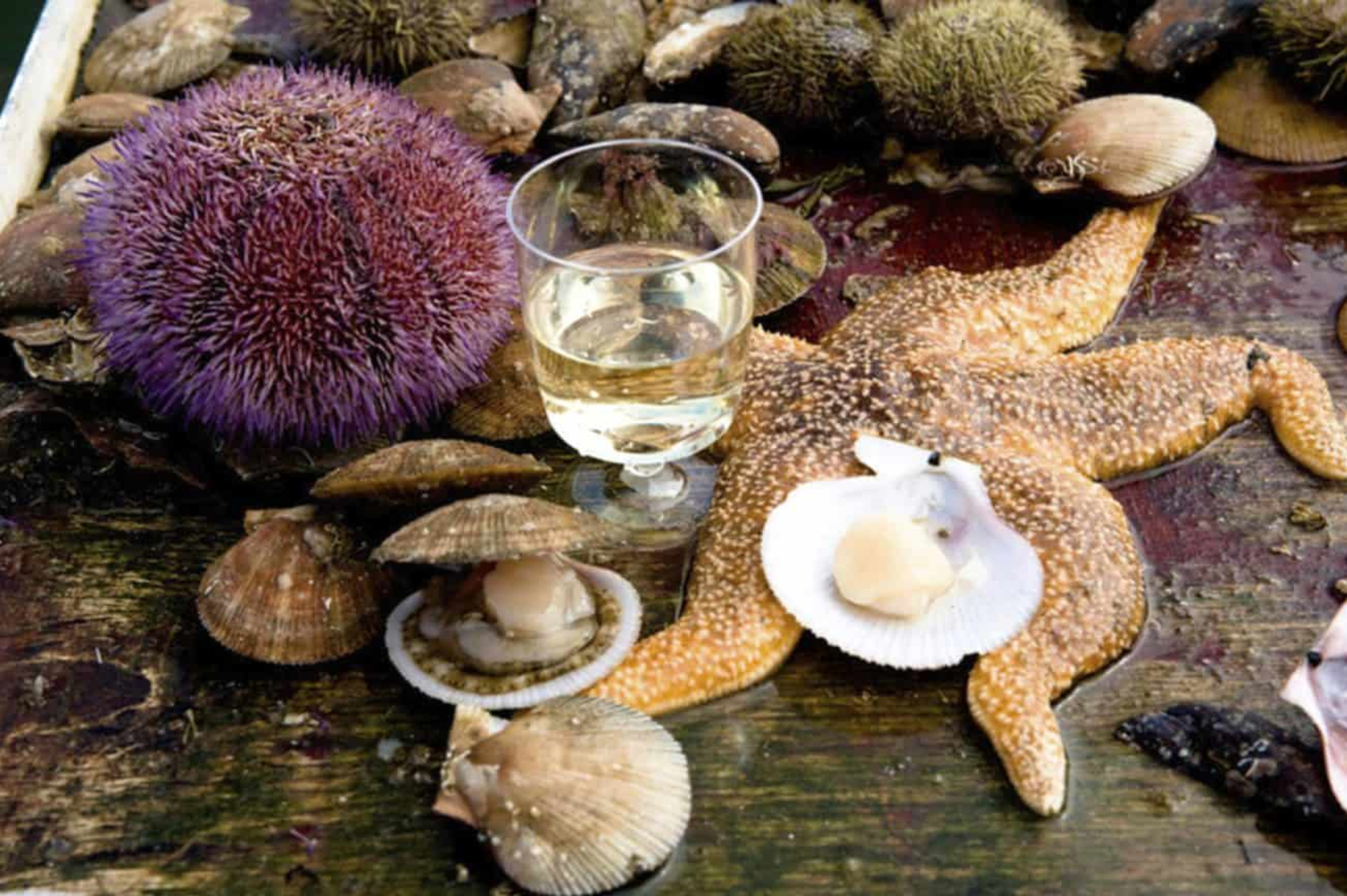 Food and drink on the Viking sushi tour in Iceland