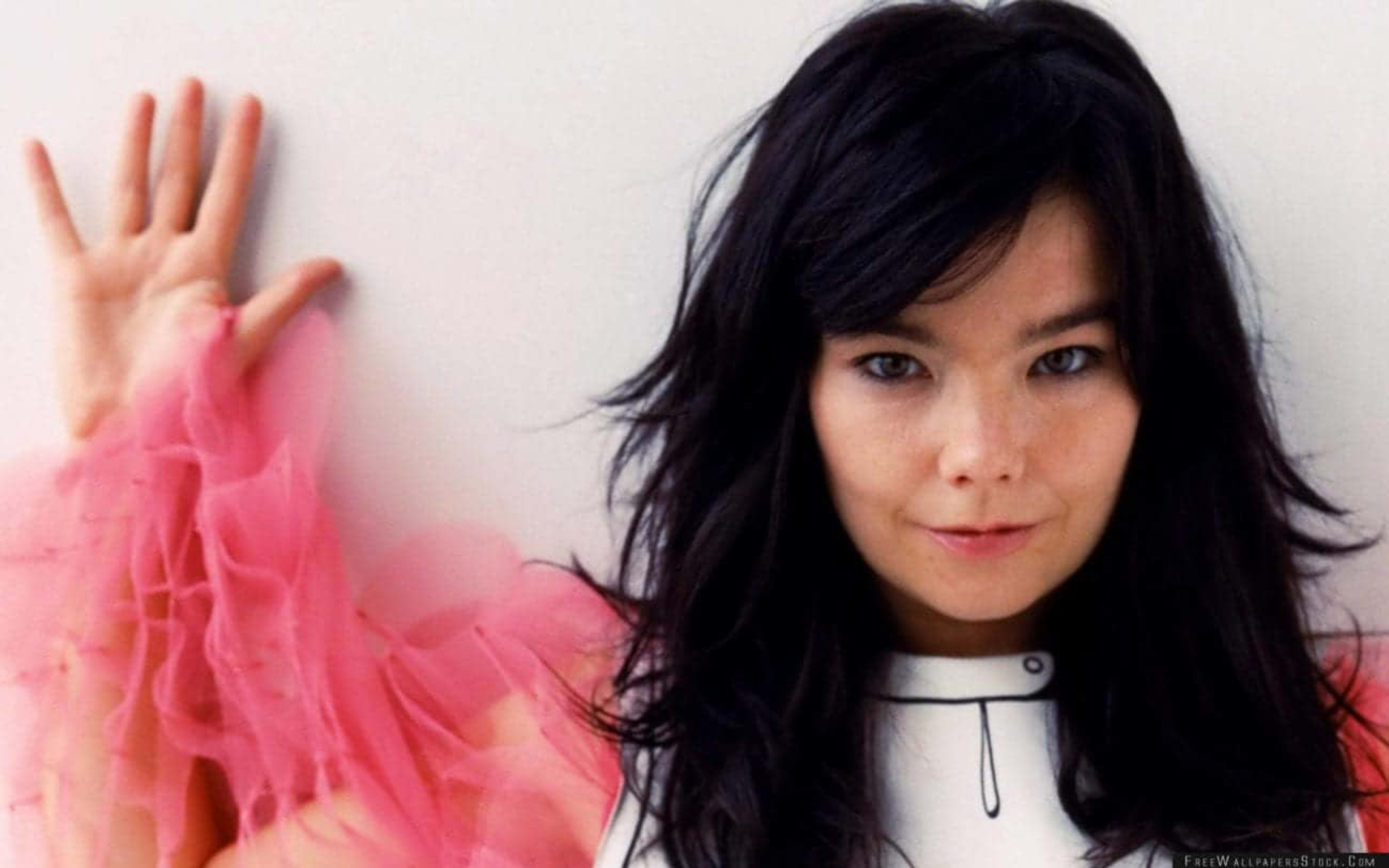 Björk, one of Iceland's most famous musicians