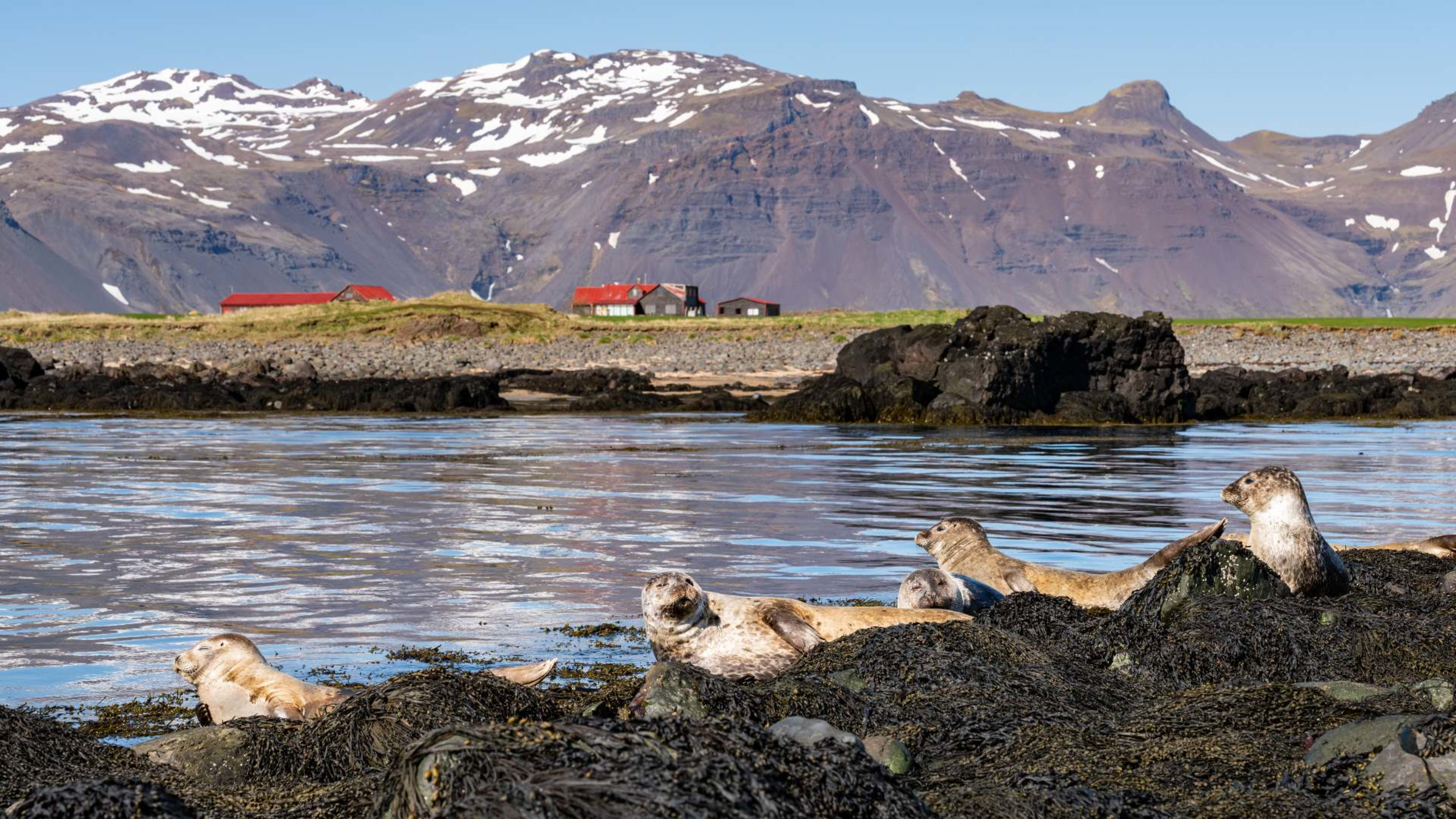 The Complete Guide to the Midnight Sun in Iceland