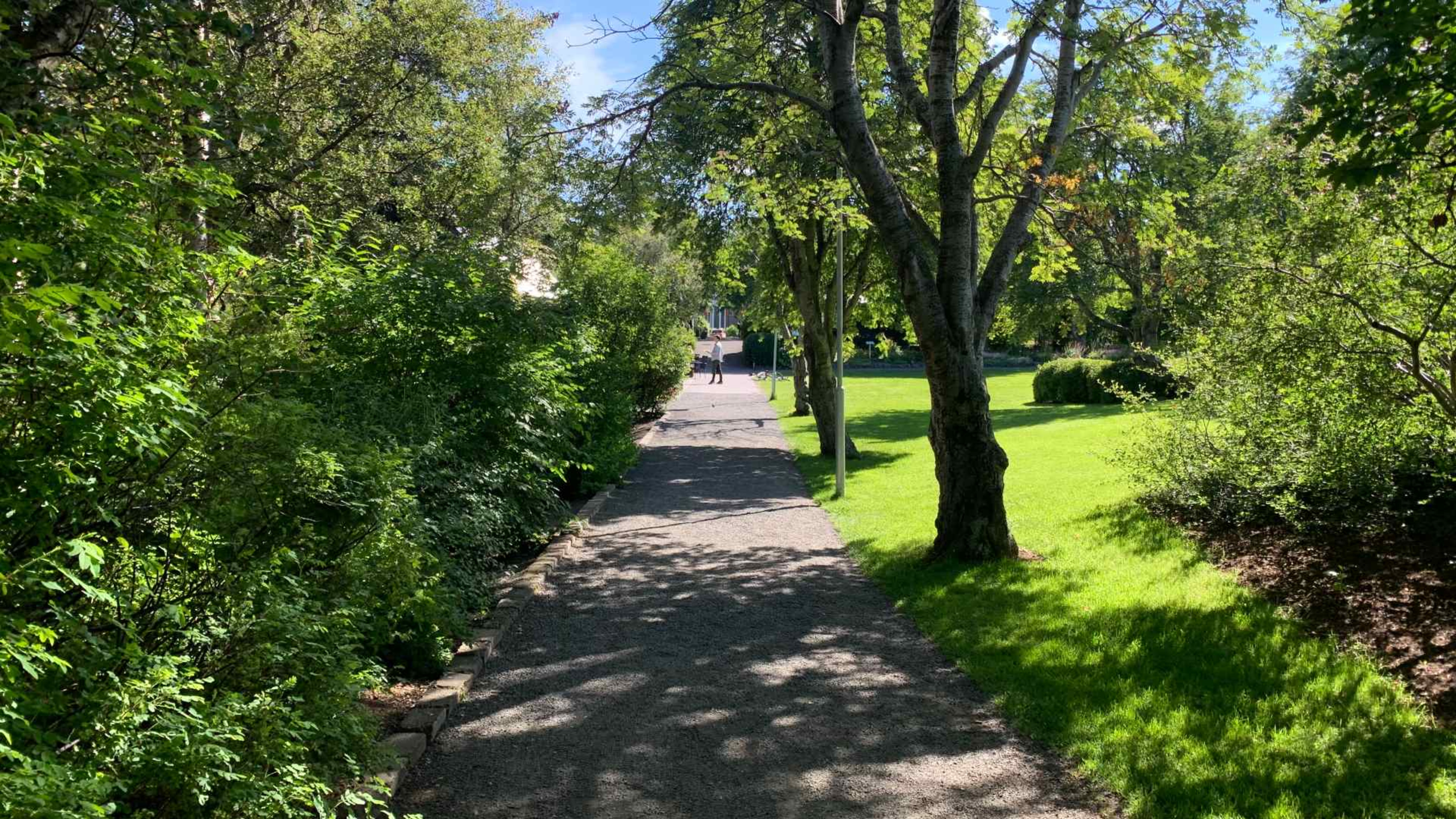 The botanic gardens in Akureyri