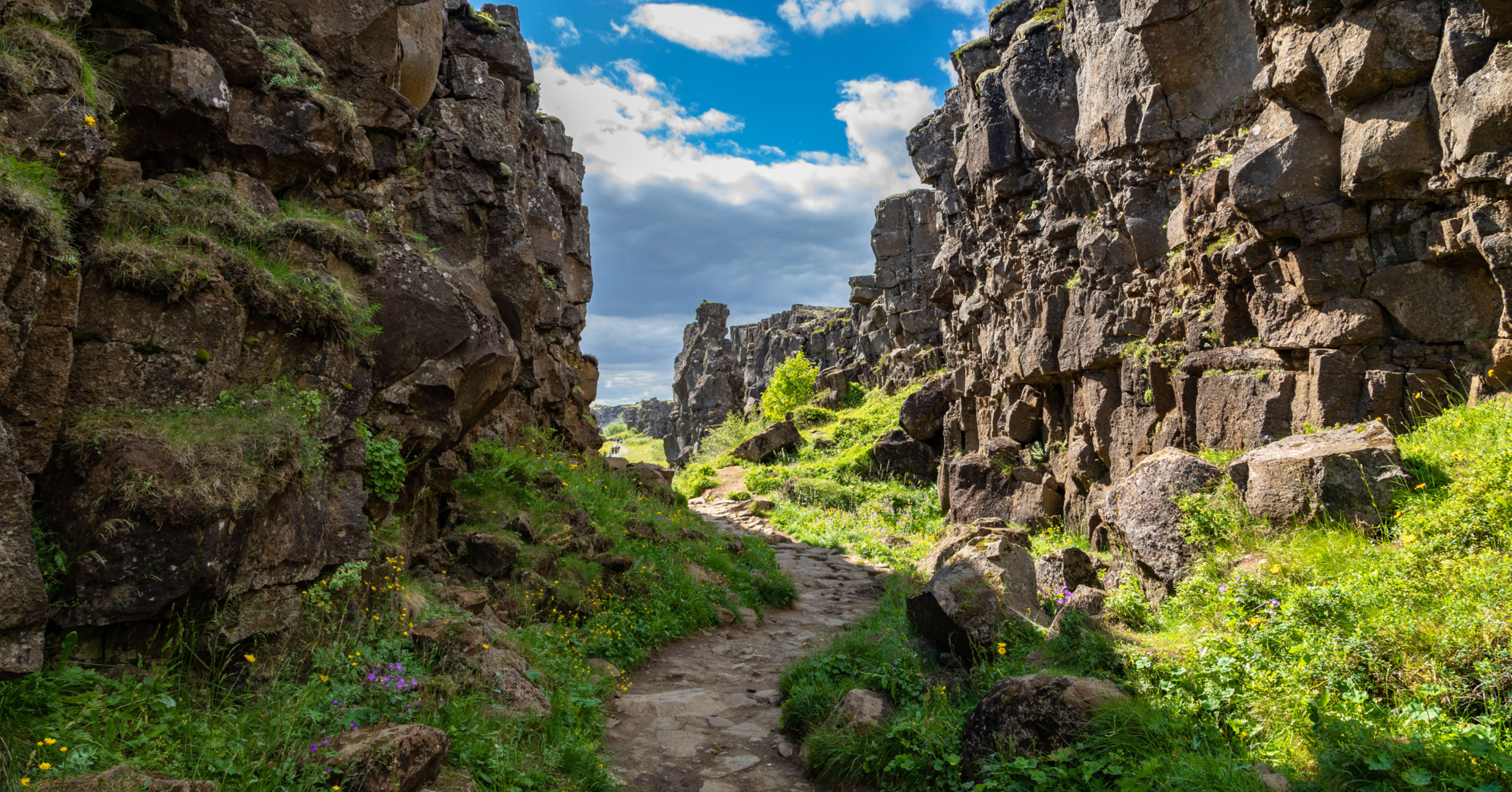 Sunlit hiking path through lush green cliffs sprinkled with wildflowers