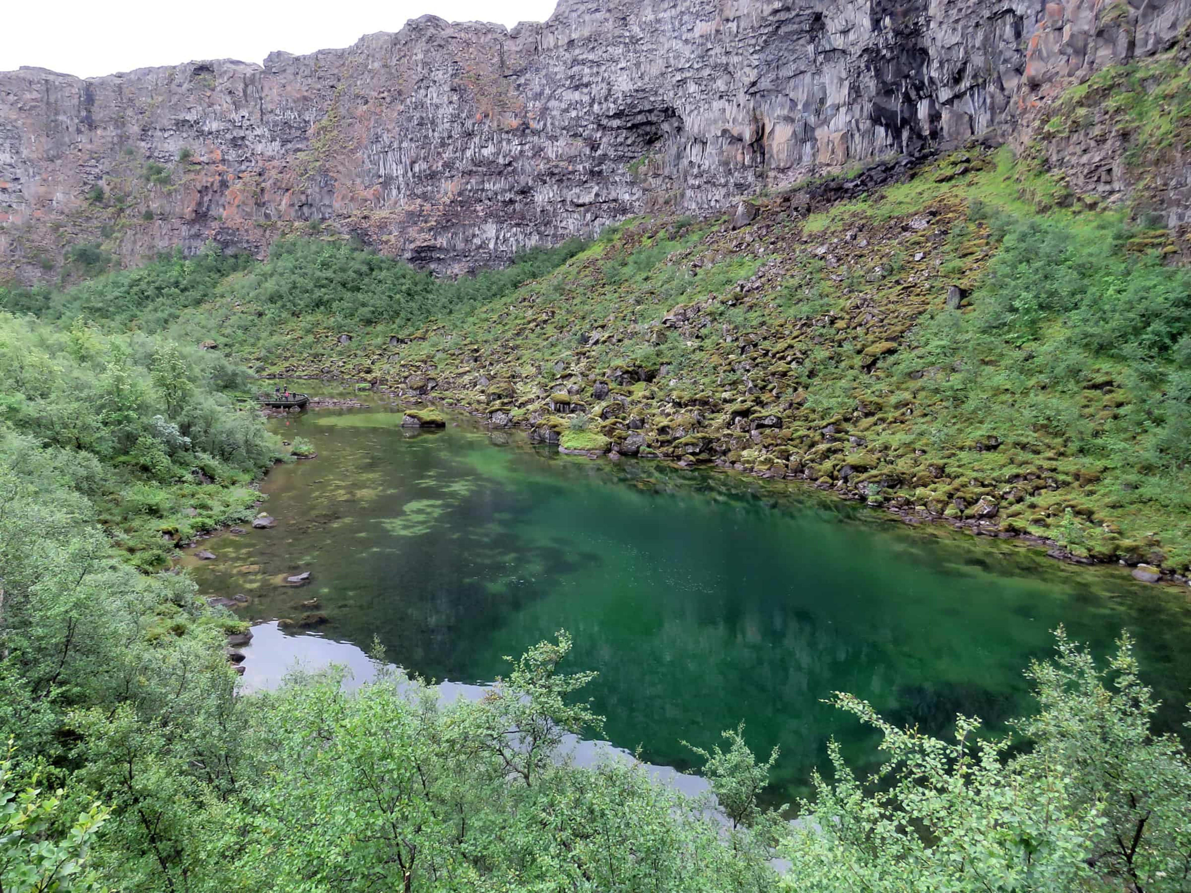 Green lake and plants in Asbyrgi canyon in North Iceland