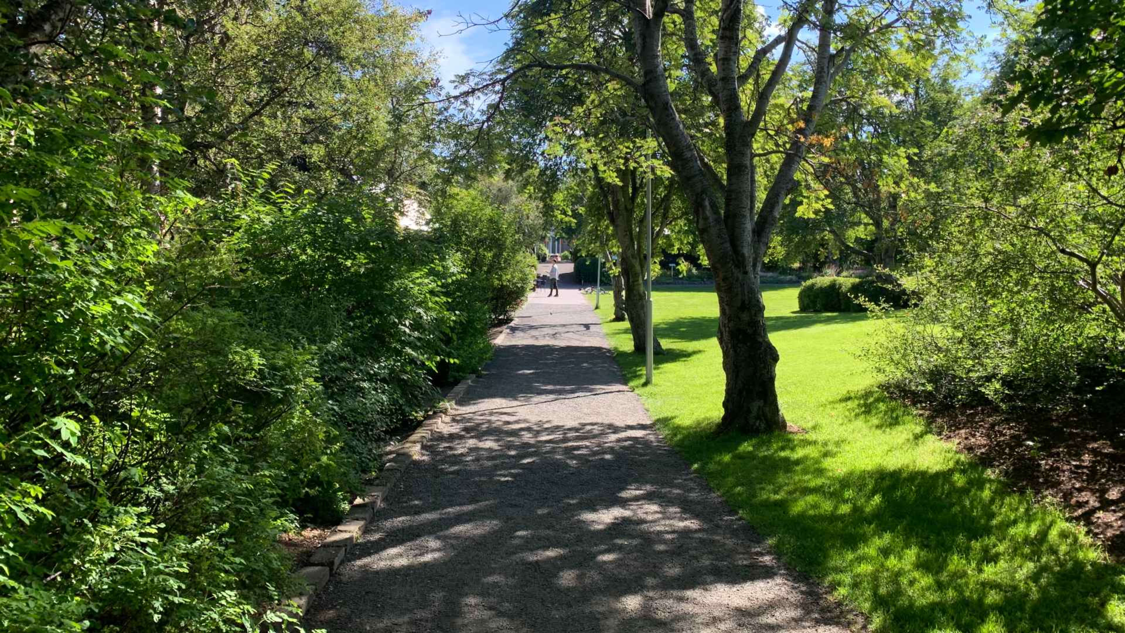 The botanic gardens in Akureyri