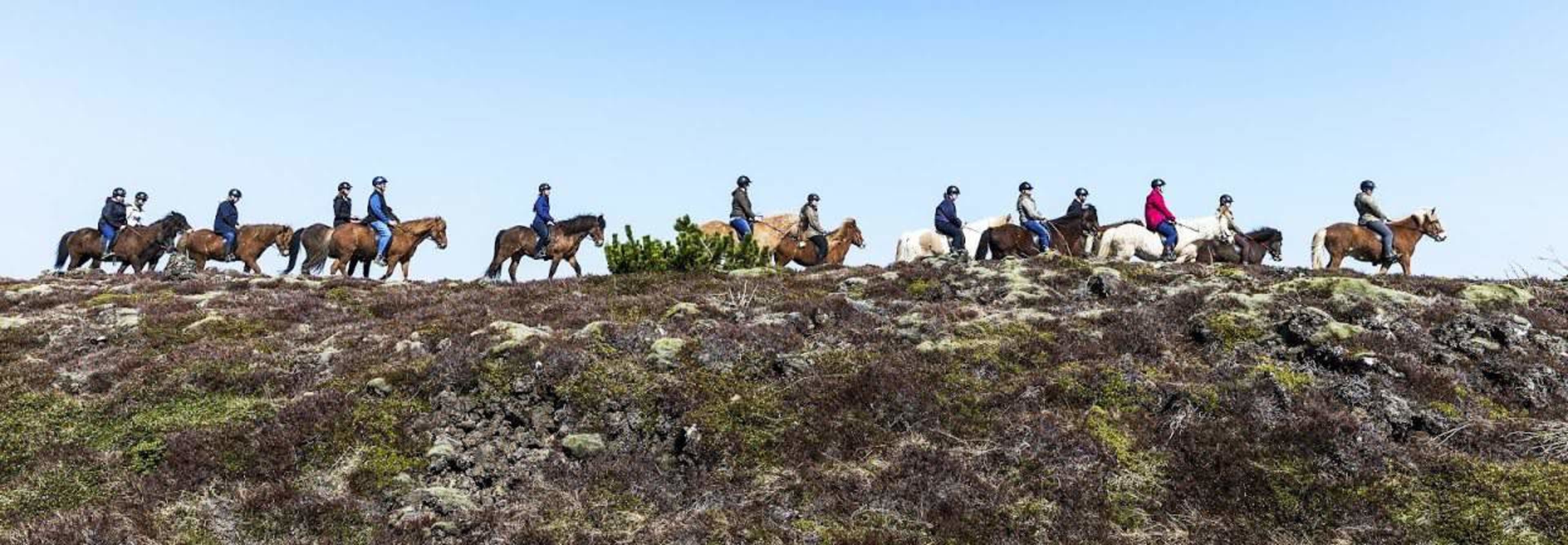 Group on a horse riding tour