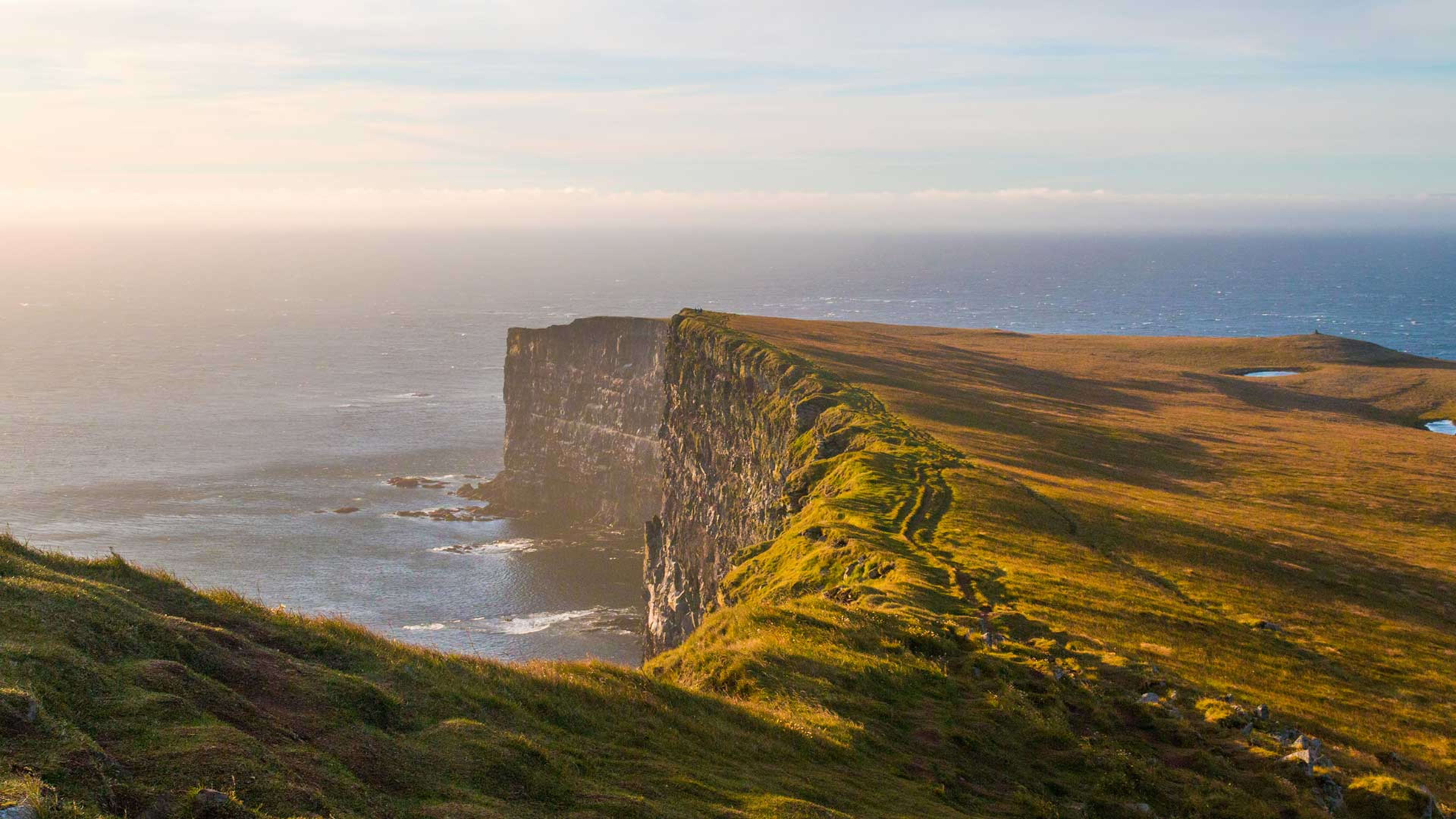 Látrabjarg sea cliffs in golden light