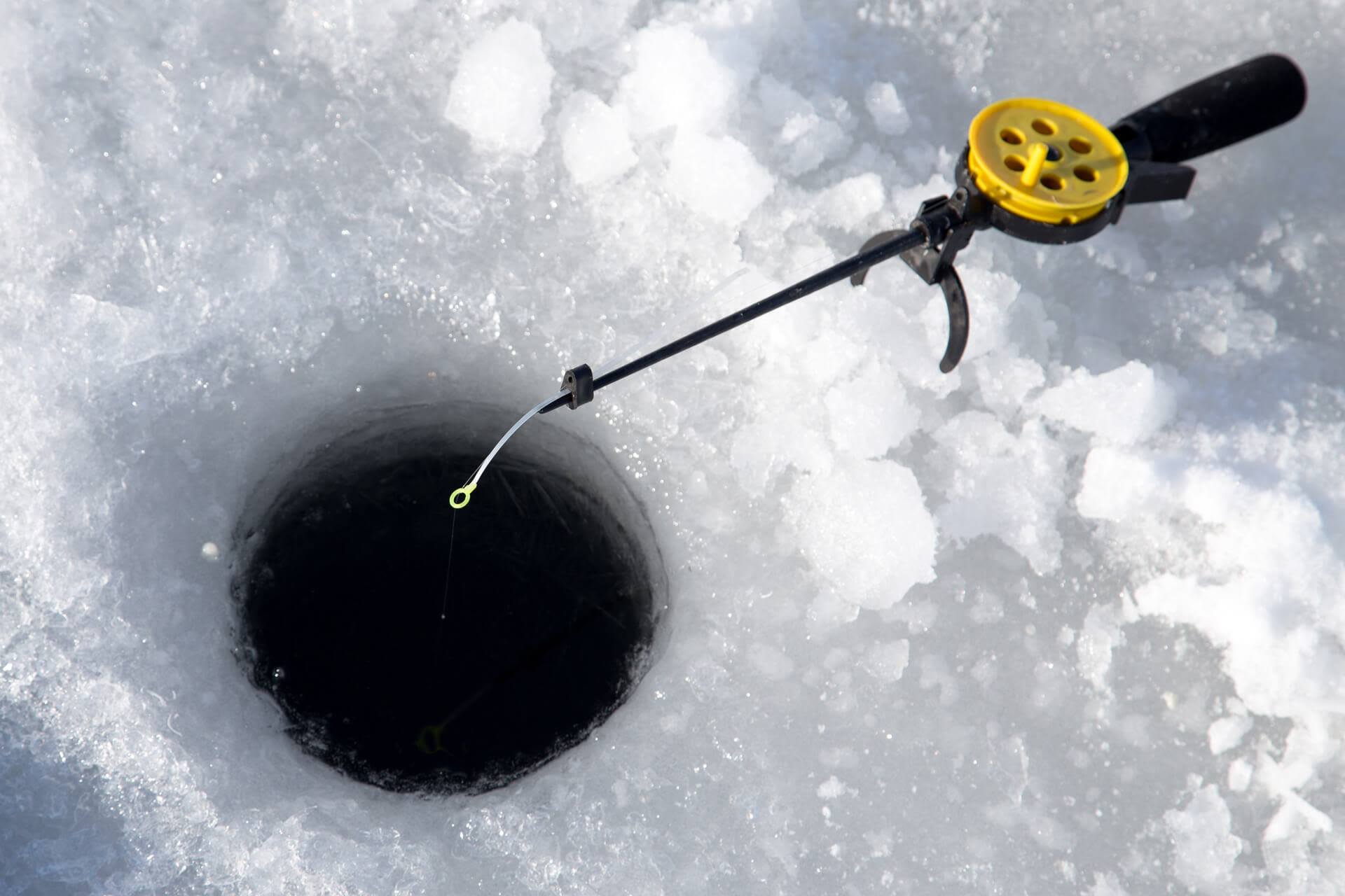 Ice fishing - ISP - Edutainment