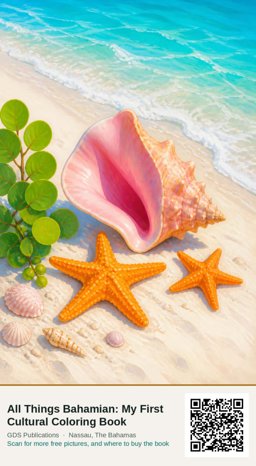 A large pink queen conch shell and two orange starfish on white sand at the edge of clear turquoise water, with green sea grape leaves at one side.