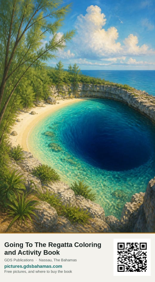 Dean’s Blue Hole, a deep circle of dark water inside a pale turquoise bay ringed by limestone.