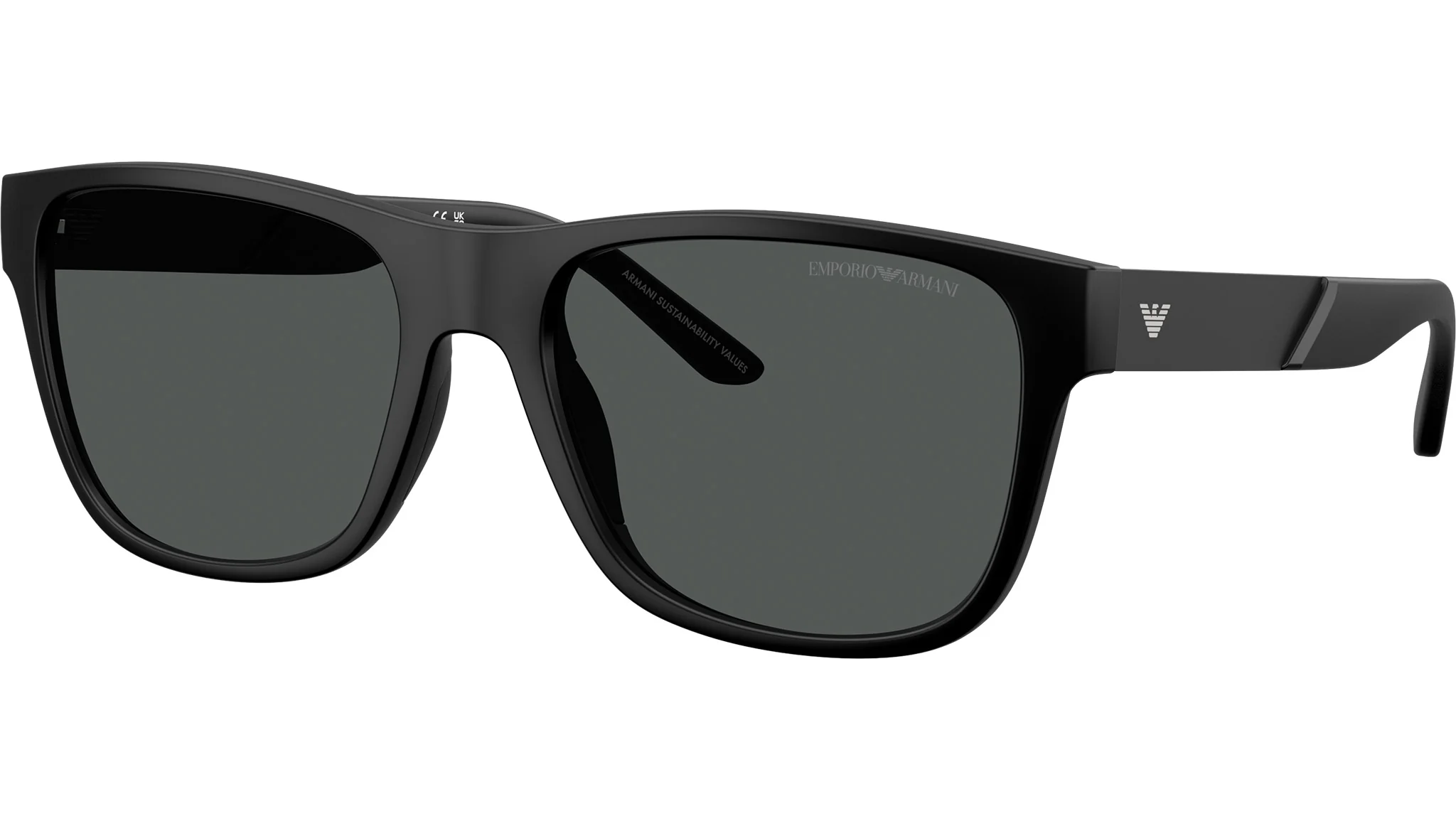 Emporio Armani EA-0EA42435001T356-56-5001T Sunglasses angle 2