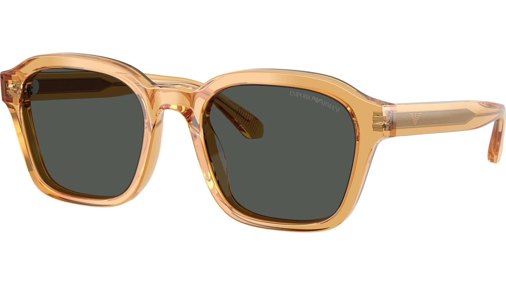 Emporio Armani EA-0EA4245U62468754-54-624687 Sunglasses angle 2
