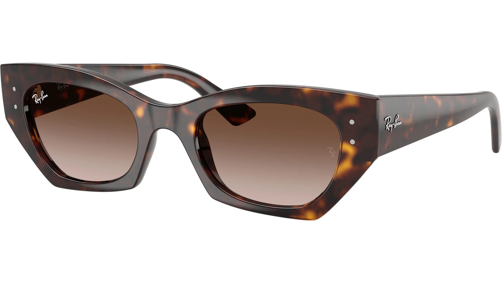 Ray-Ban RB-4430-52-135913 Sunglasses angle 2