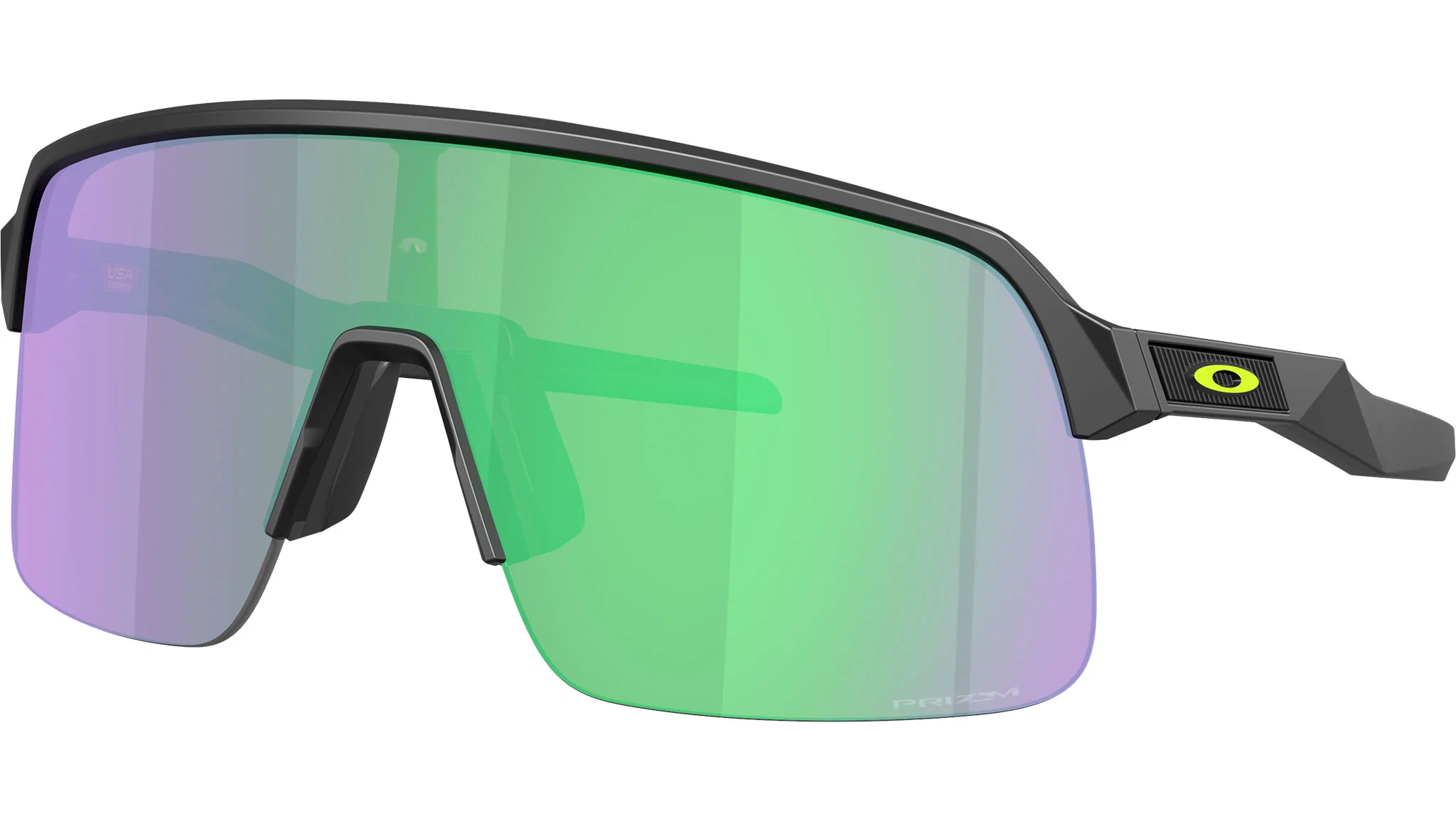 Oakley OA-0OO946394637939 Sunglasses angle 2