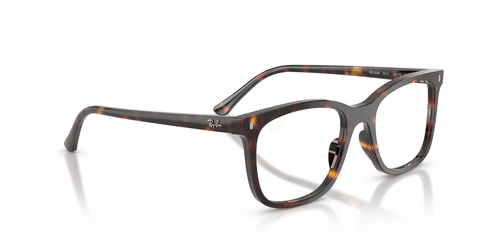 Ray-Ban RB-RX5446201251 Eyeglasses angle 2