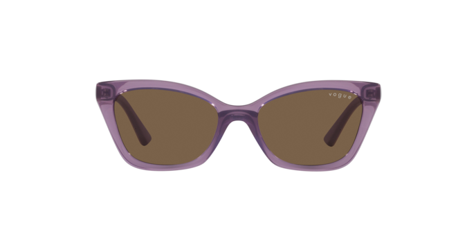 Vogue VJ-0VJ202030647348 Sunglasses angle 2