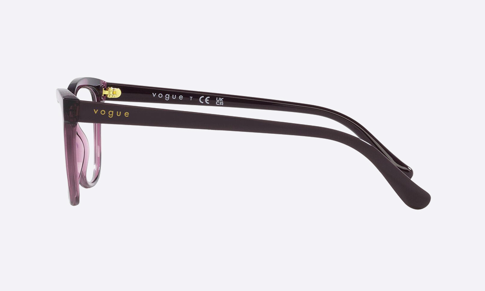 Vogue VO-0VO5495I276152 Eyeglasses angle 2