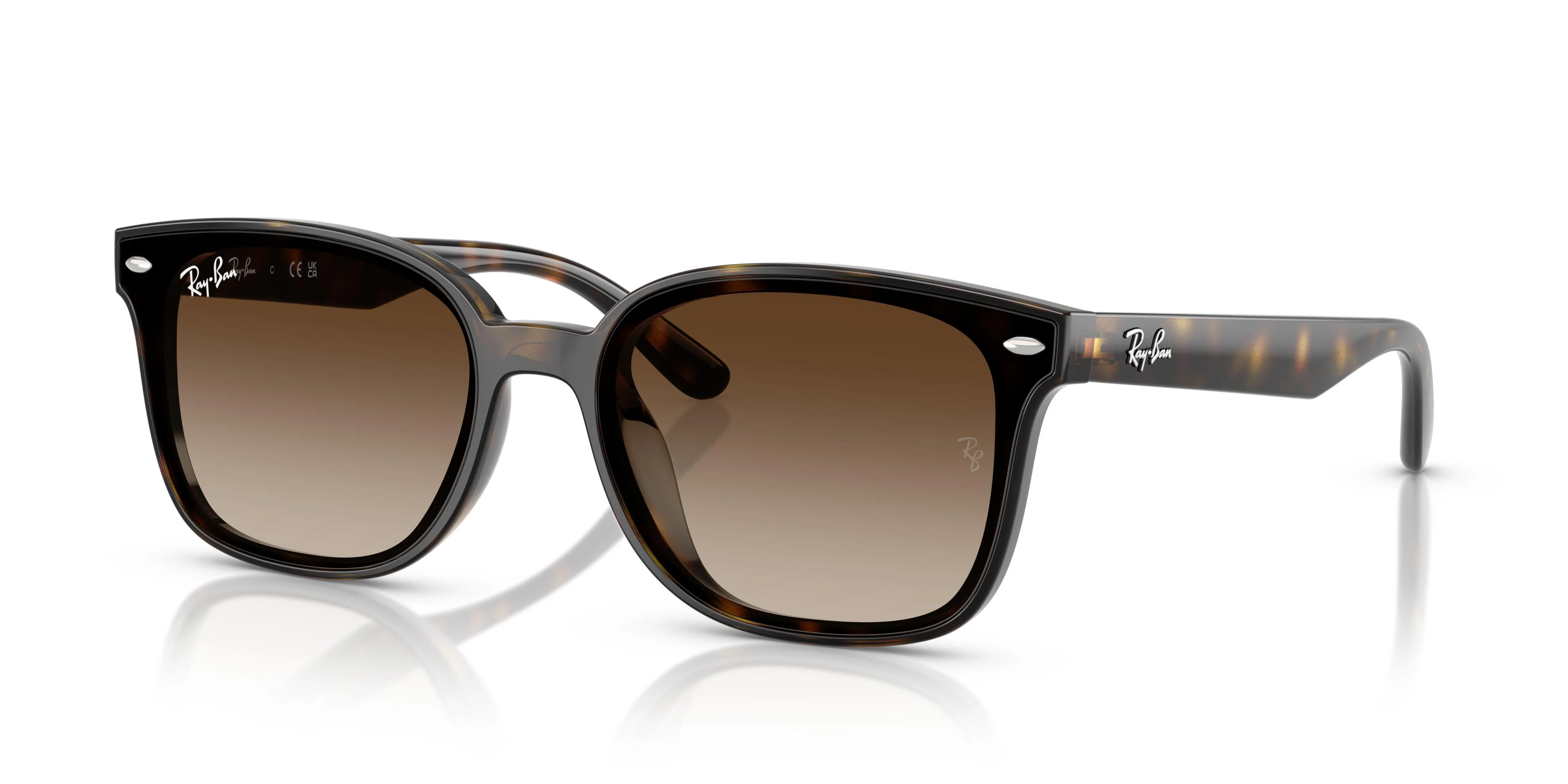 Ray-Ban RB-4461-64-D710/13 Sunglasses