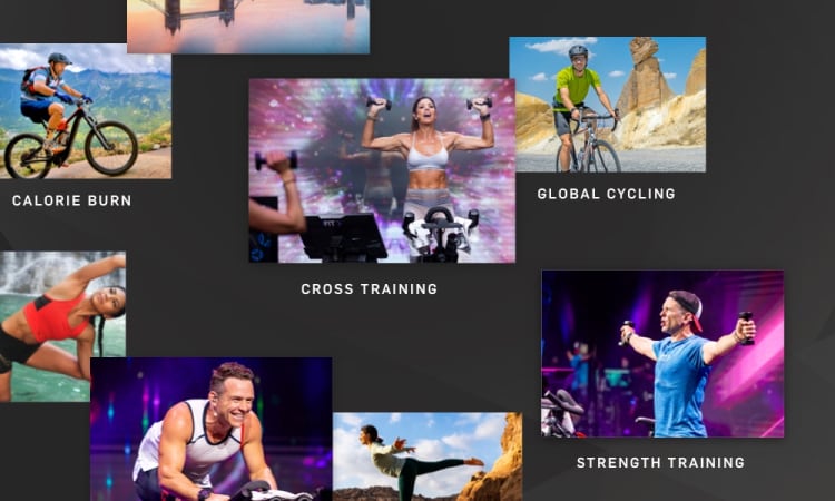Jamás vuelva a aburrirse con el entrenamiento. Con sesiones de estudio, rutinas globales e incluso opciones como el yoga y la atención plena, sus opciones son ilimitadas.