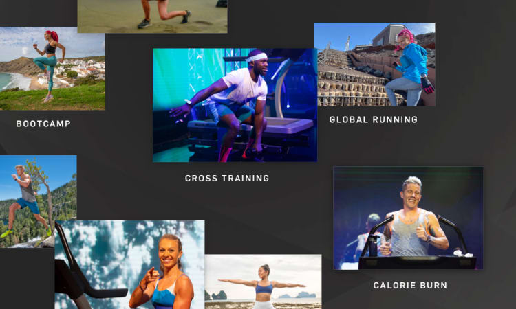 Limitless Training Options