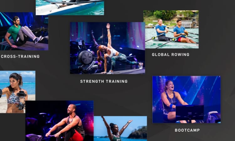 Limitless Training Variety