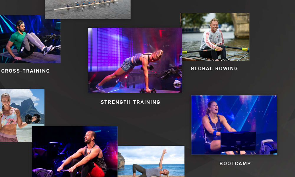 Limitless Training Variety