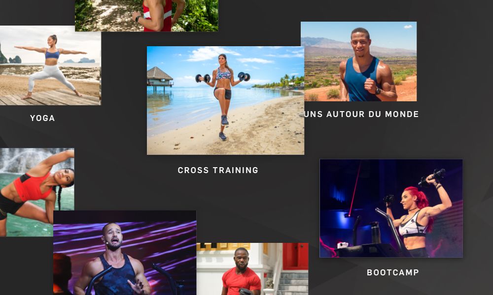 Limitless Training Variety