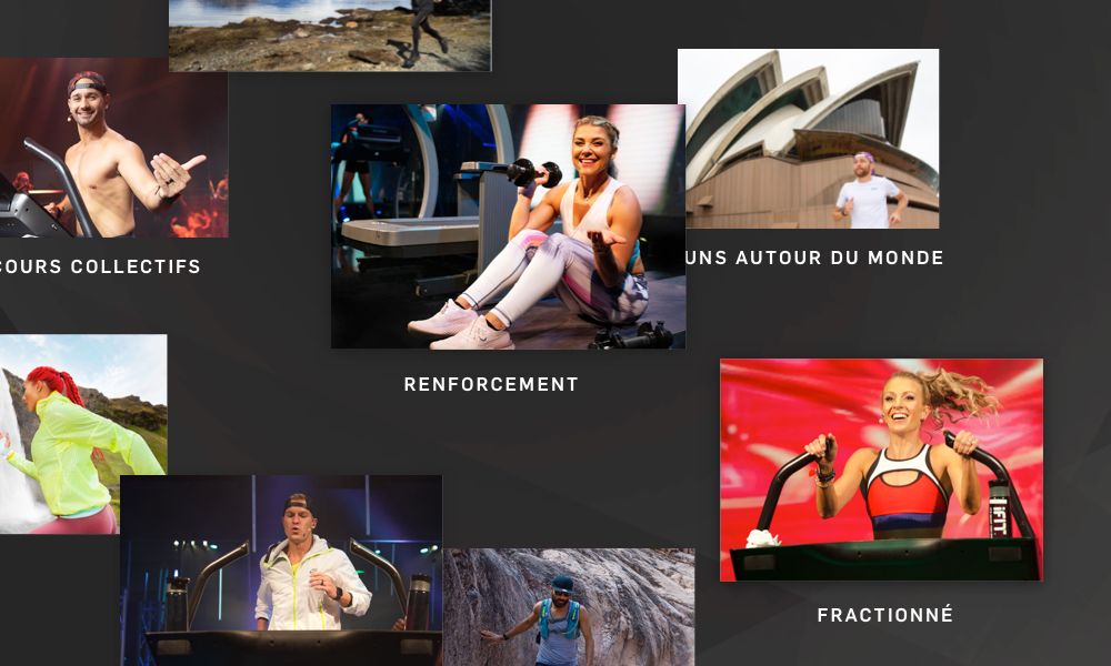 Limitless Training Options