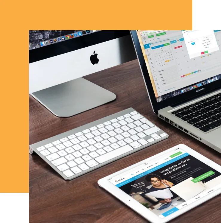 diseño-paginas-web-toluca-metepec