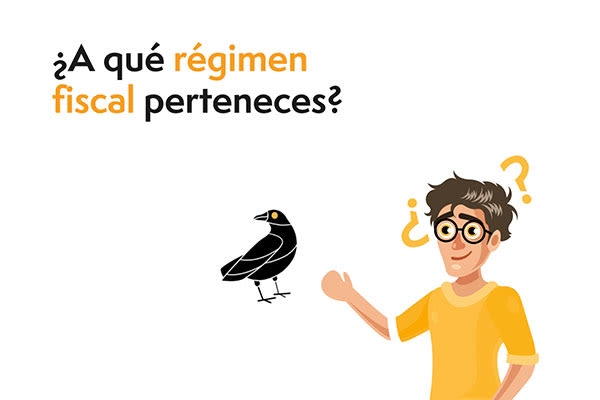 Tipos de régimen fiscal