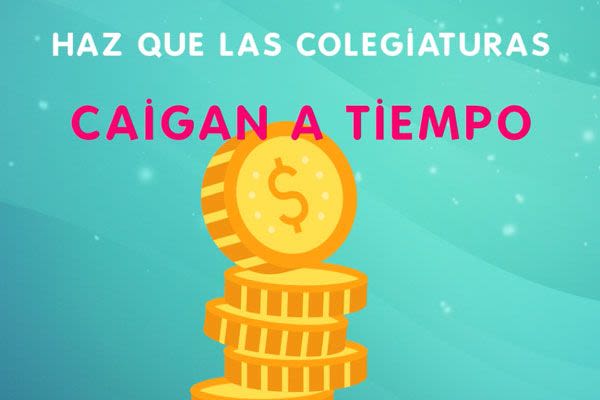 App Escolar - Videos Corporativos Animados