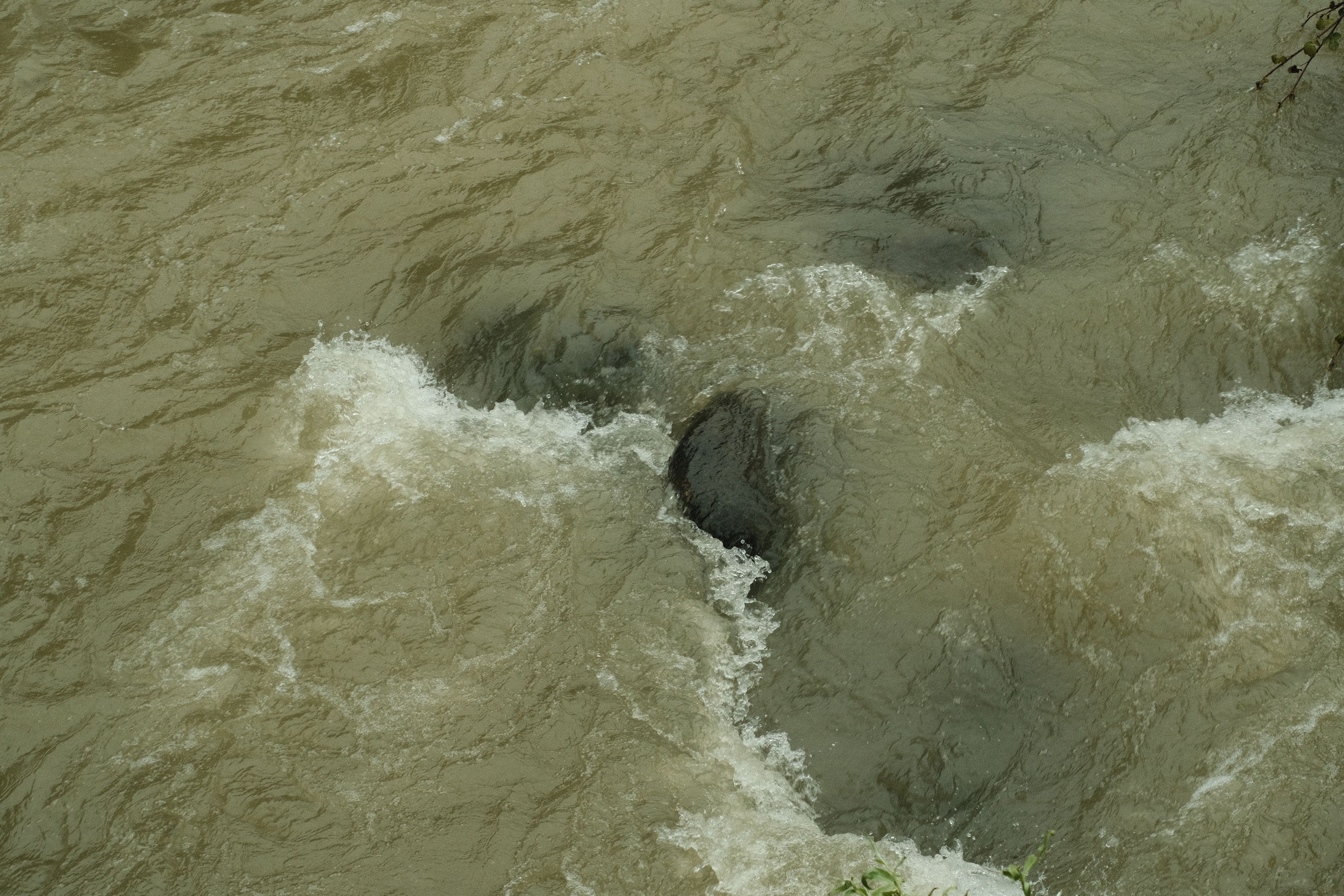 DSCF4282.jpg