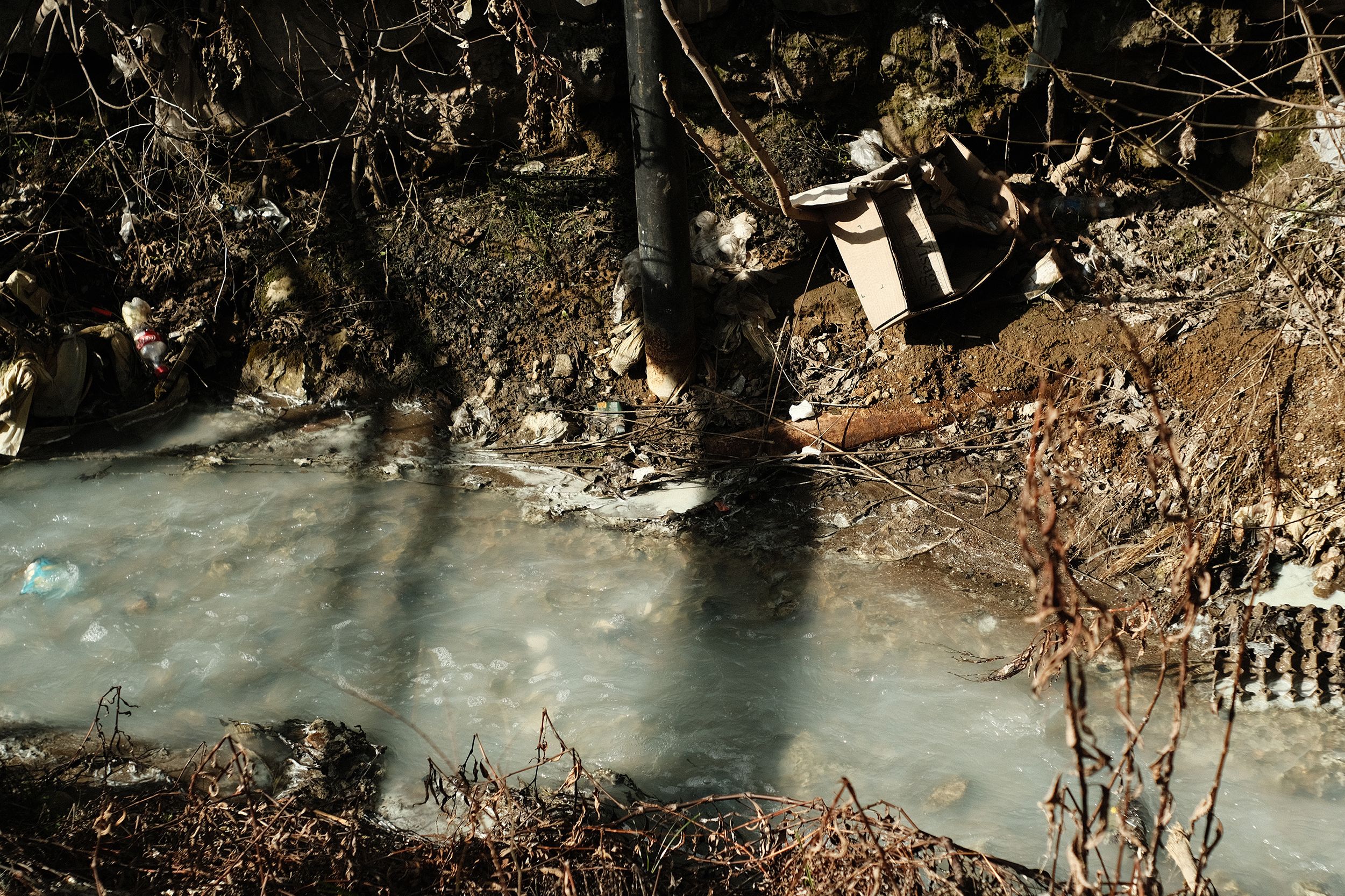 DSCF7005.jpg