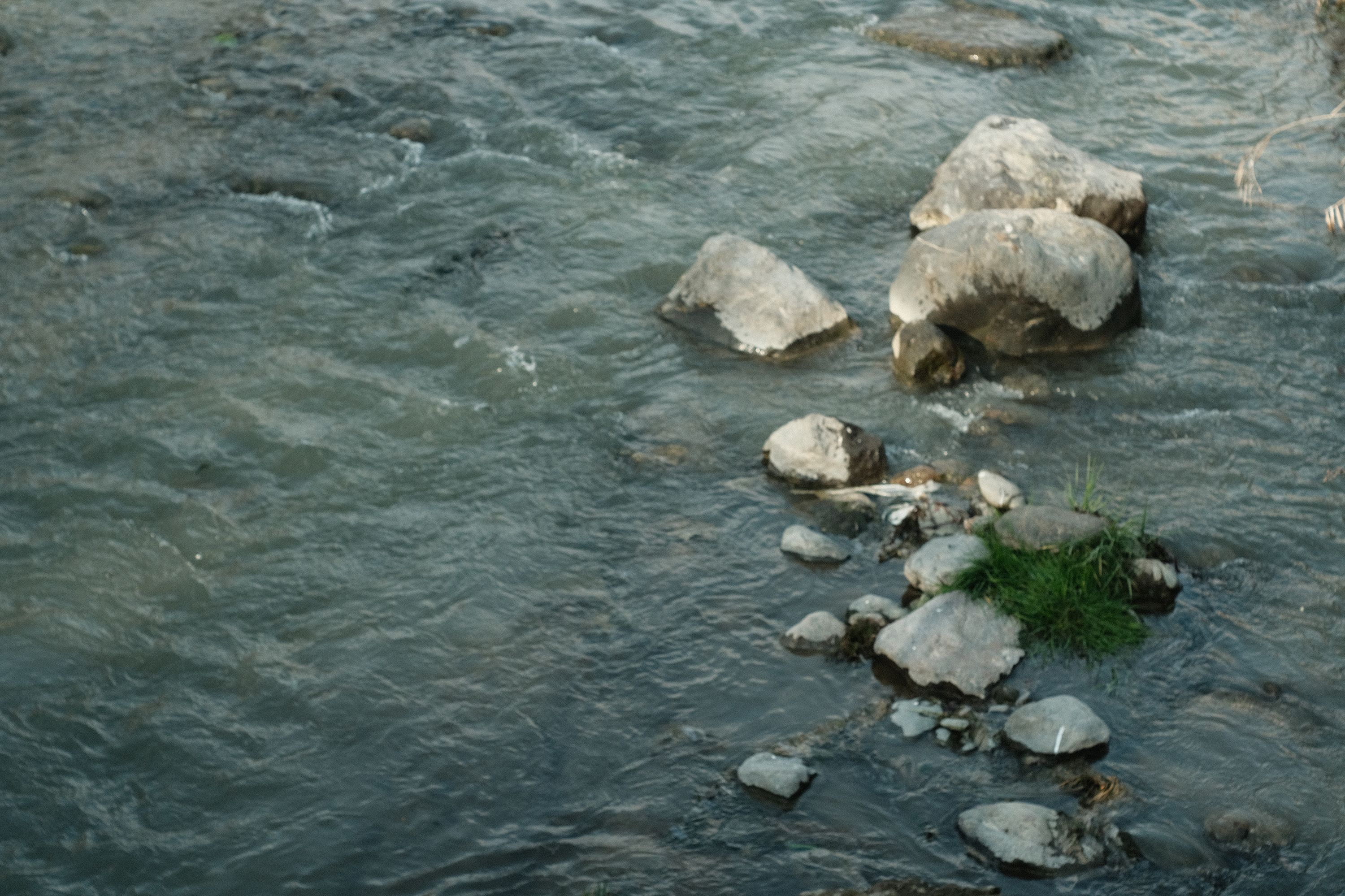 DSCF7231.jpg