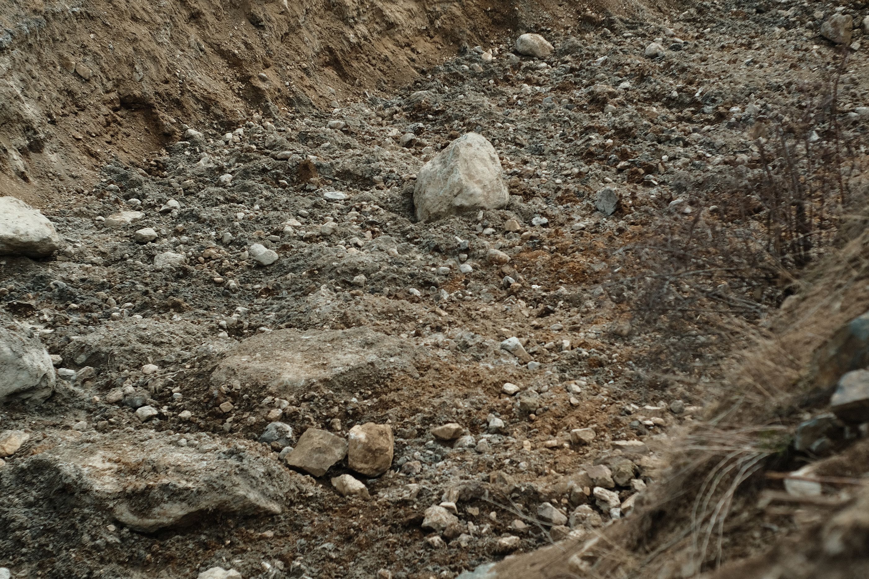 DSCF7441.jpg