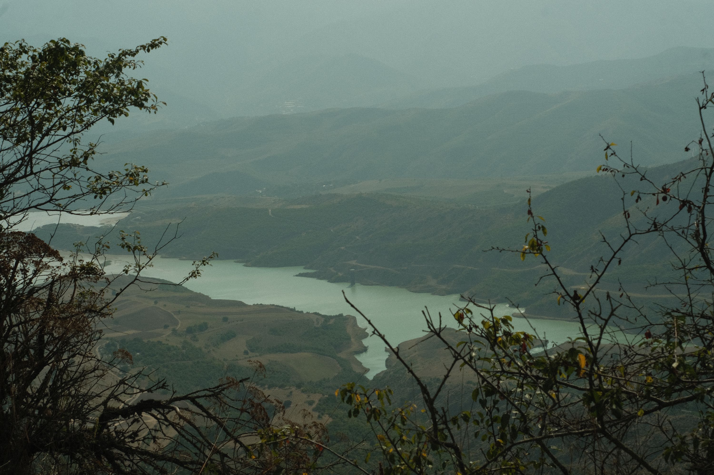 DSCF8021.jpg