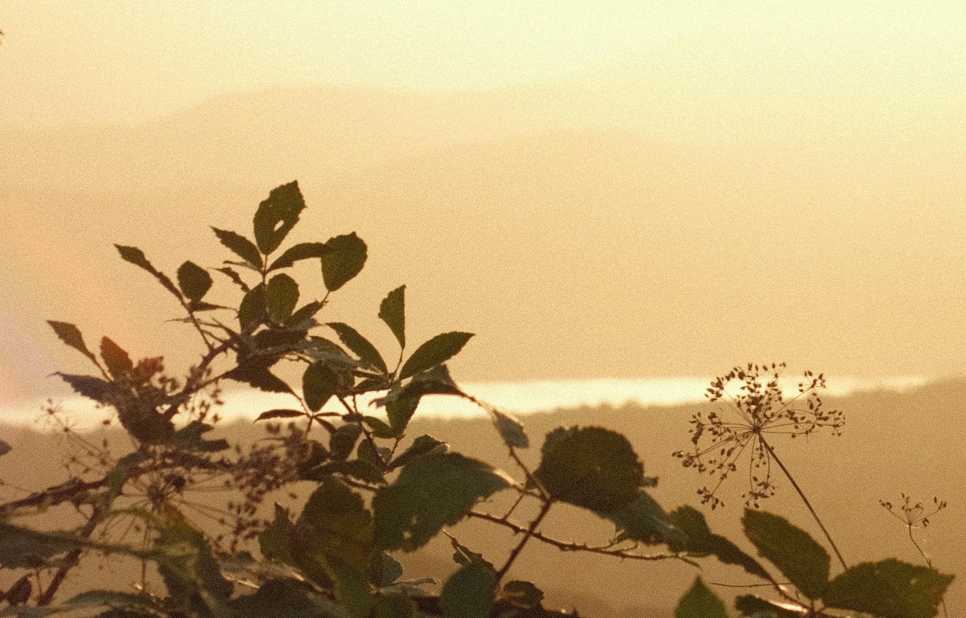 DSCF8228.JPG