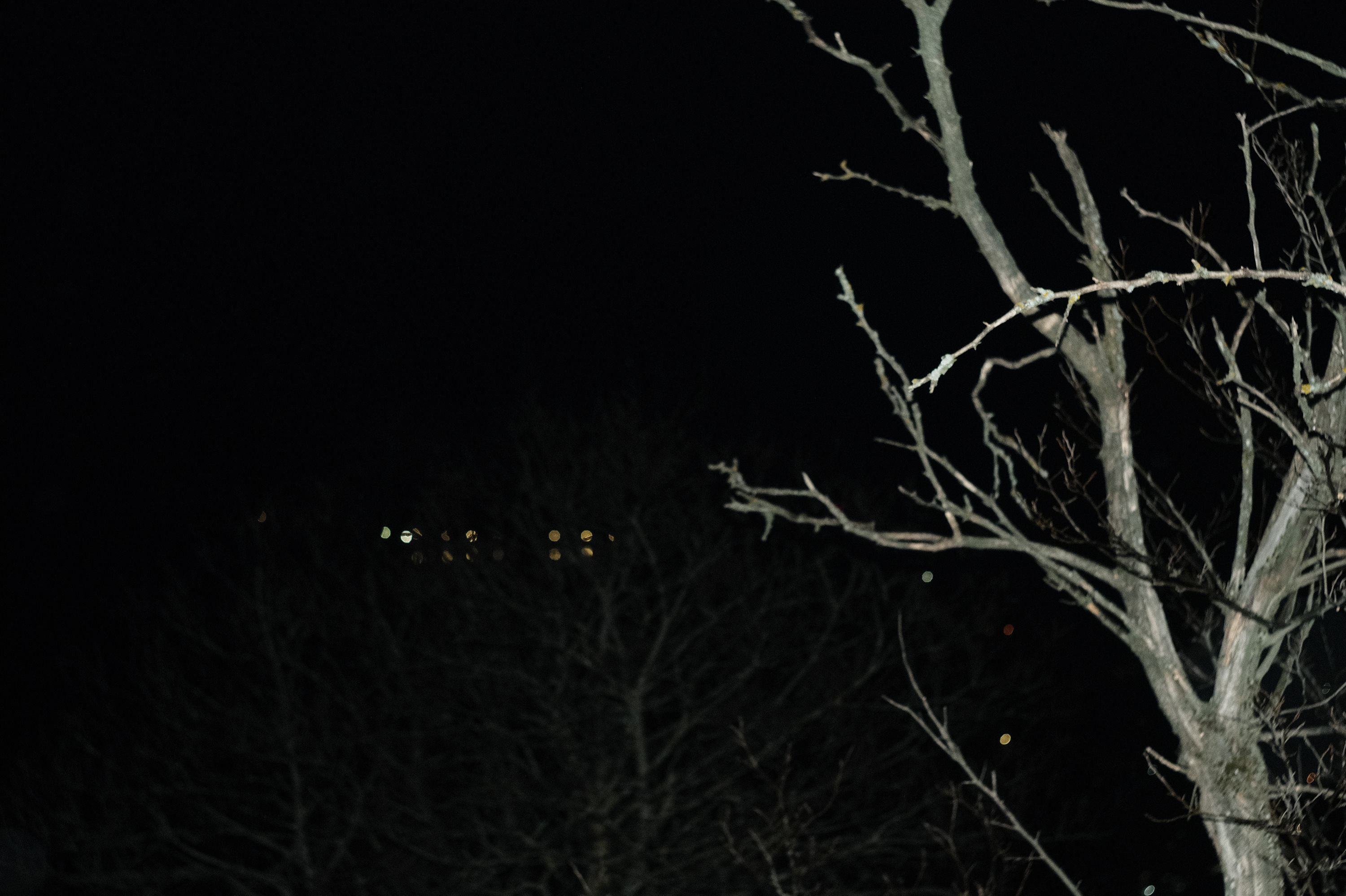 DSCF8615.jpg