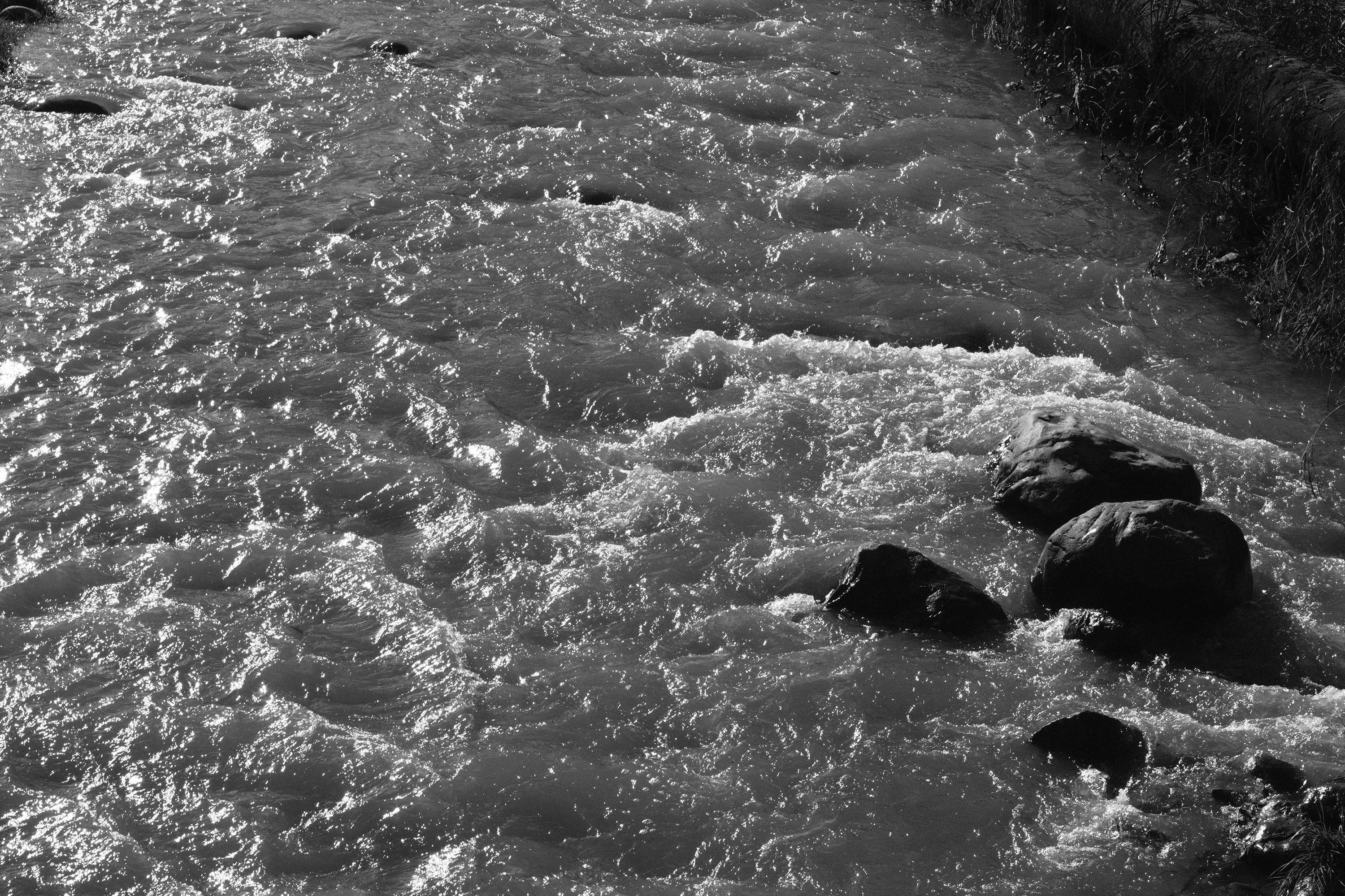 DSCF8794.jpg