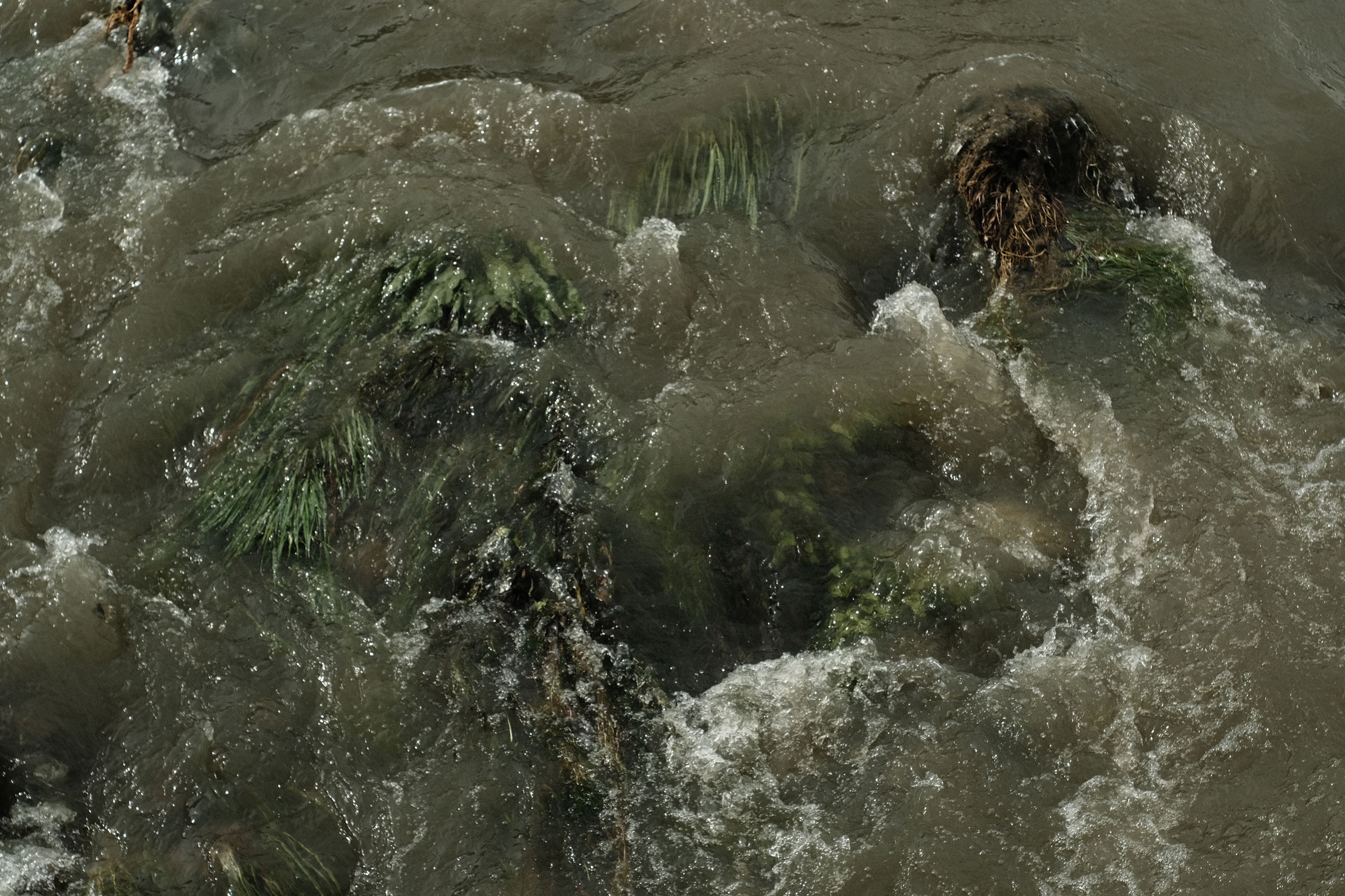 DSCF8829.jpg